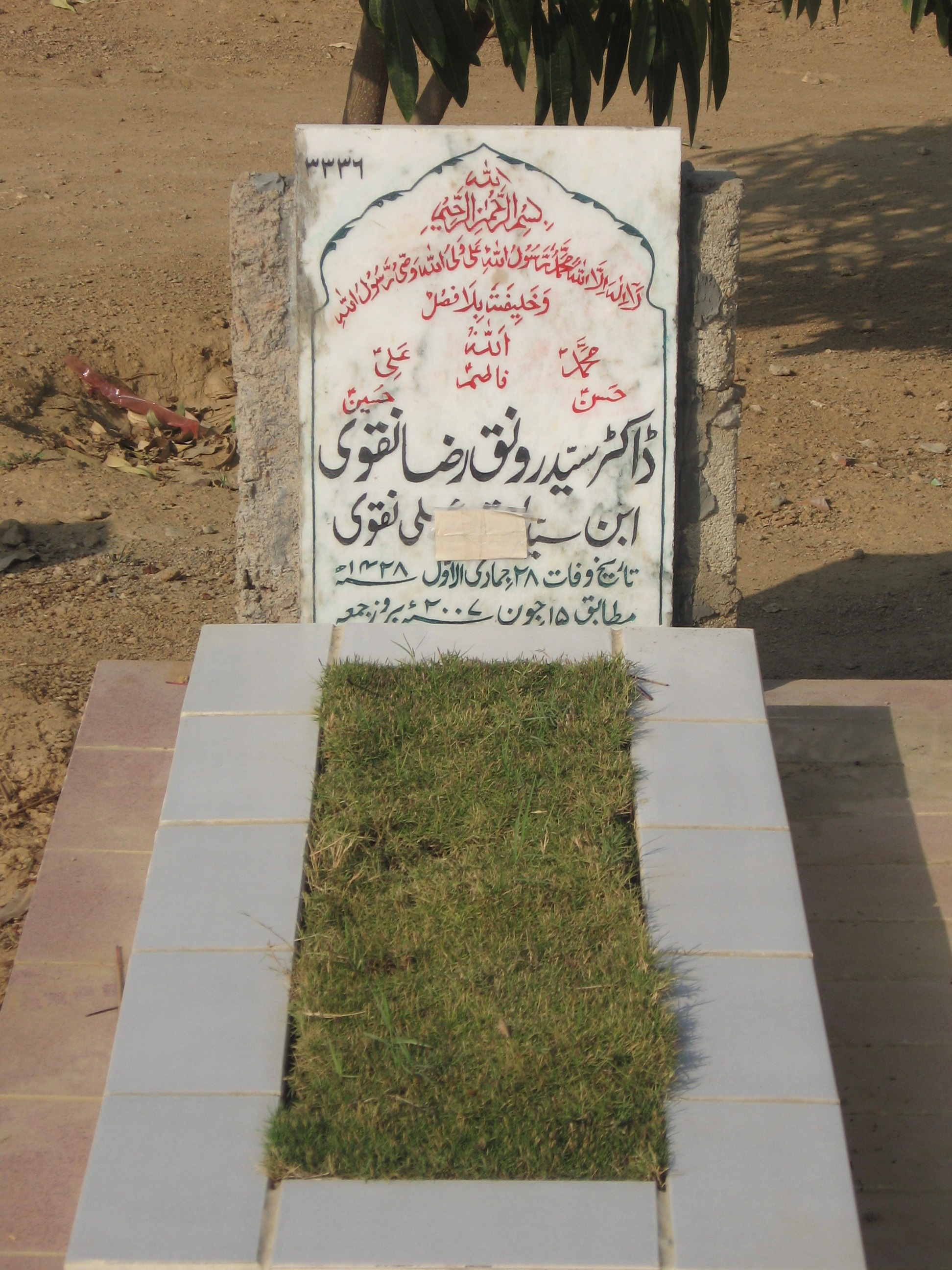 3336 – Dr Syed Rounaq Raza Naqvi