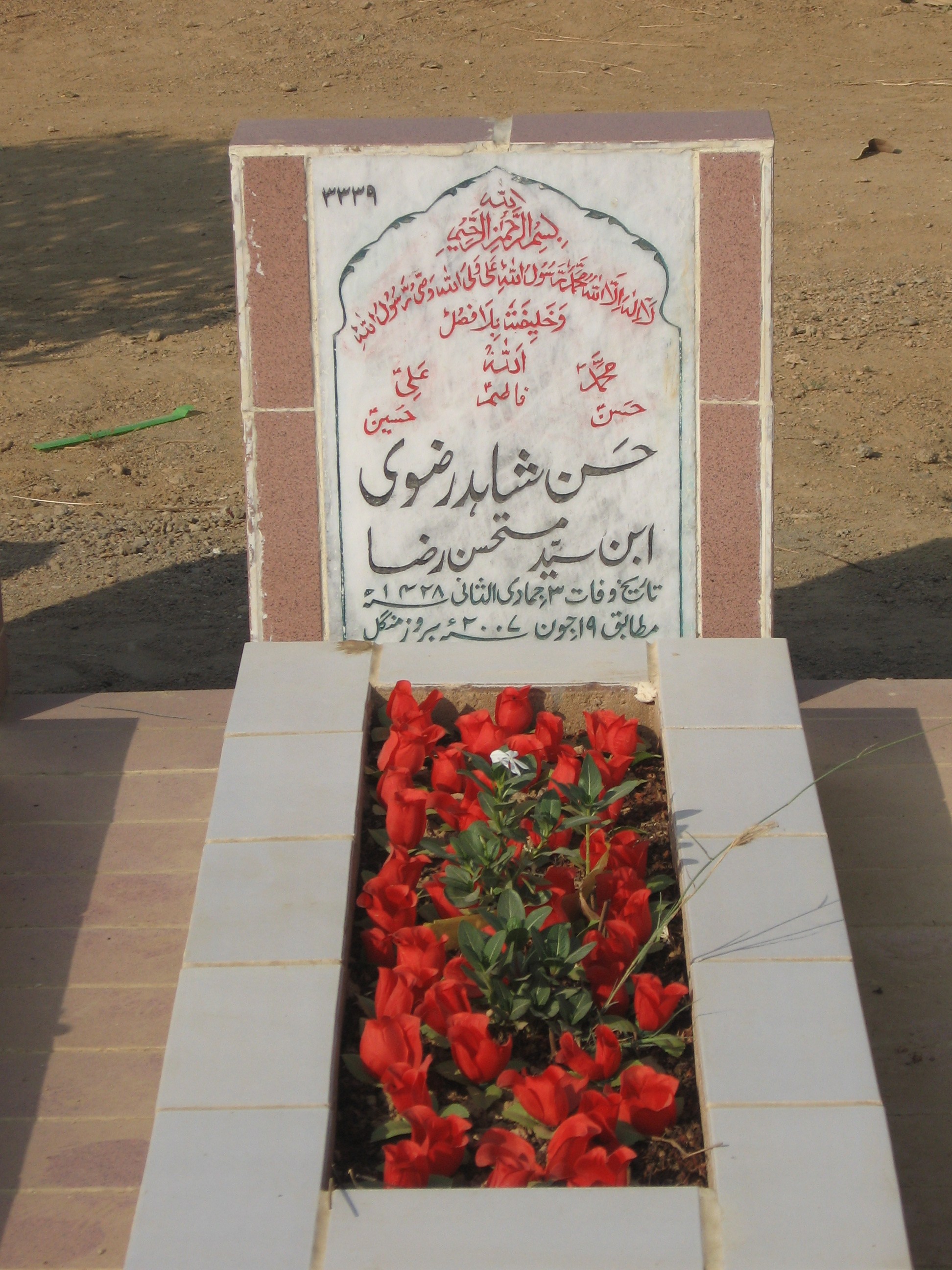 3339 – Hasan Shahid Rizvi