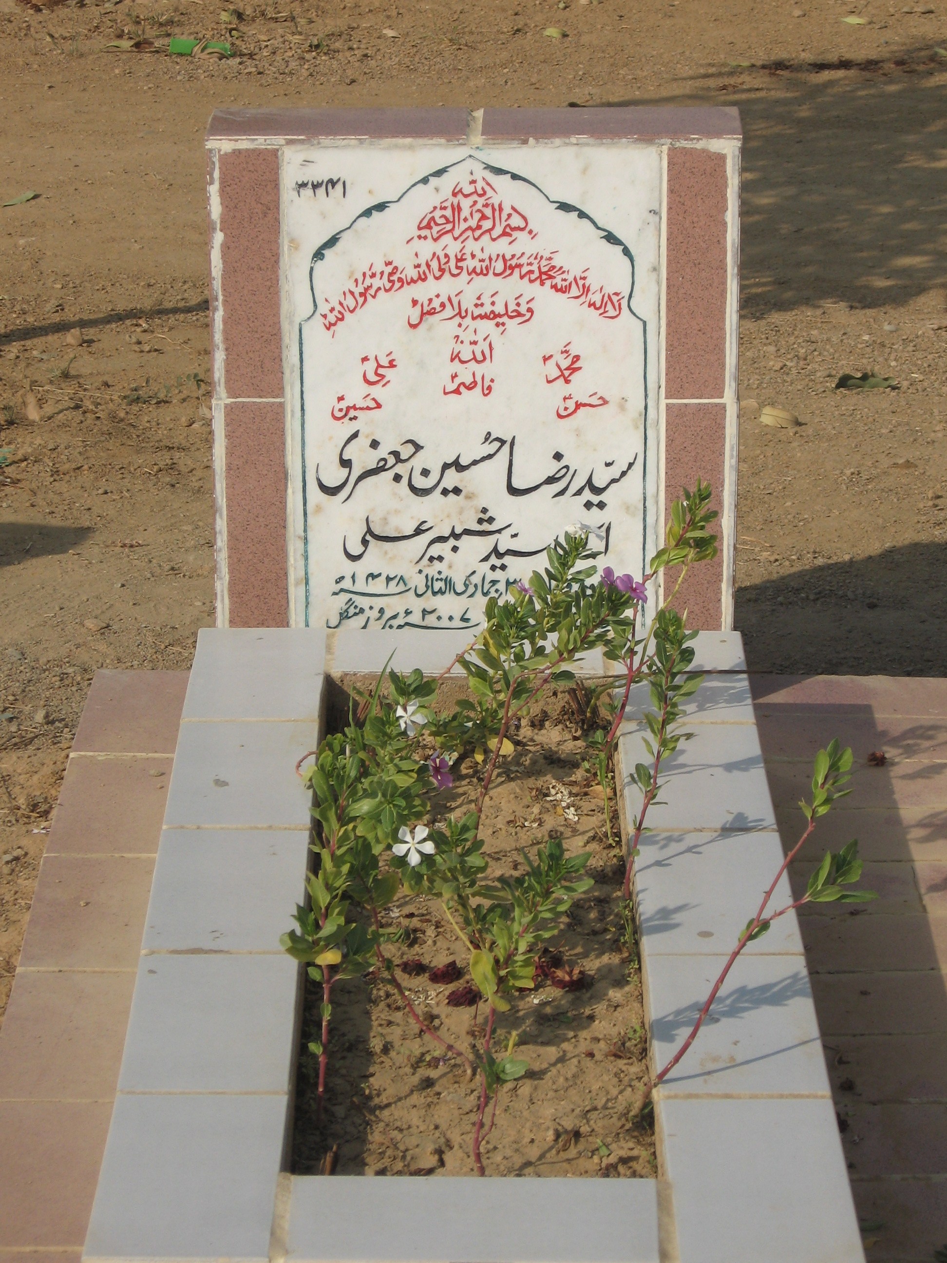 3341 – Syed Raza Hussain Jaffari