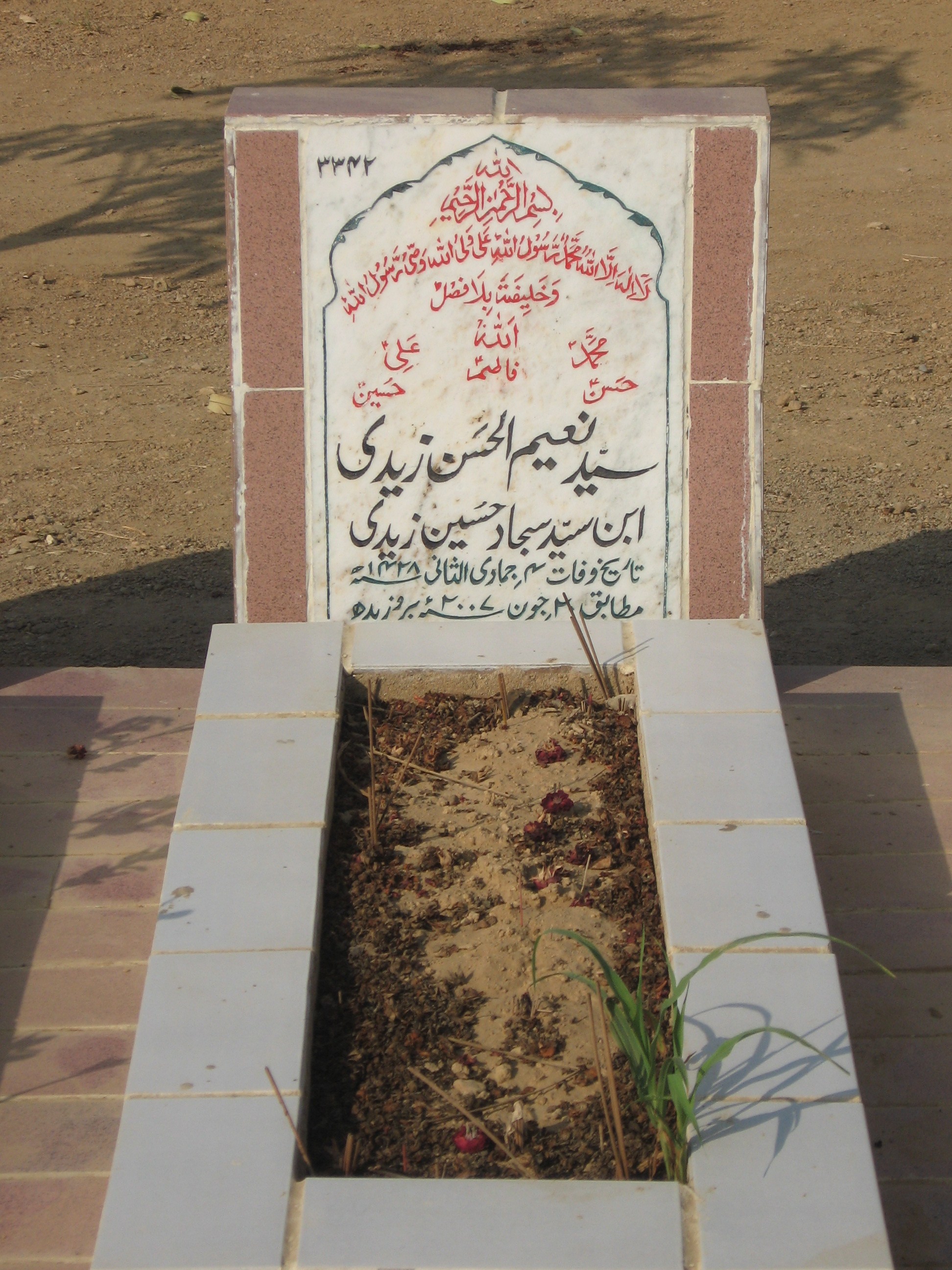 3342 – Syed Naeem ul Hasan Zaidi