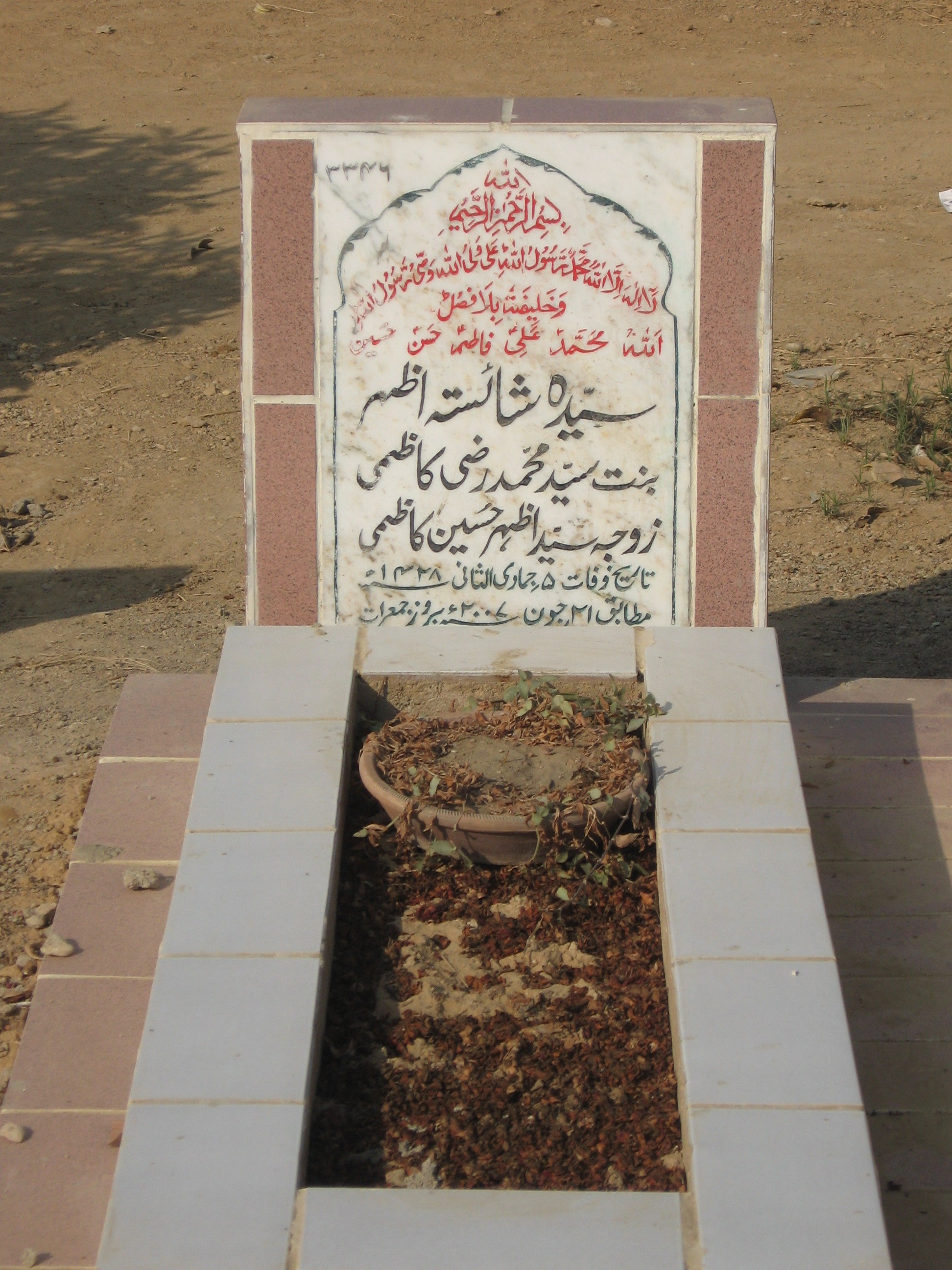 3346 – Syeda Shaista Azhar