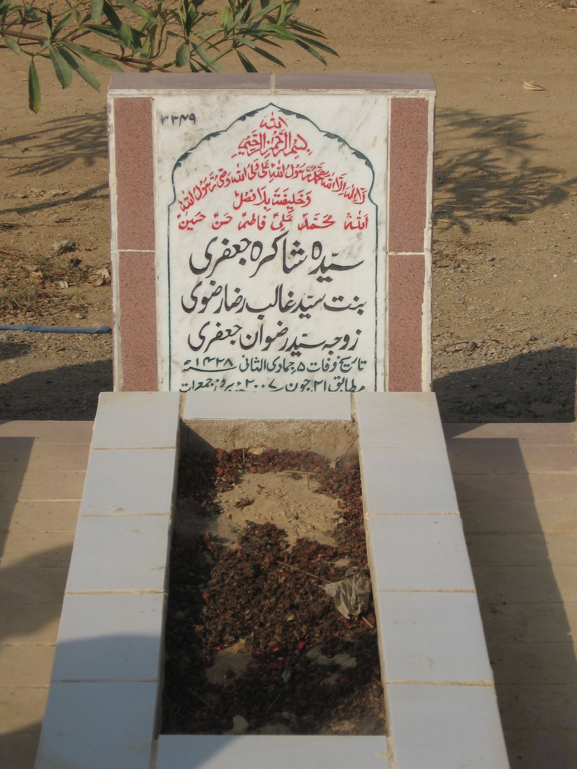 3349 – Syeda Shakira Jaffri