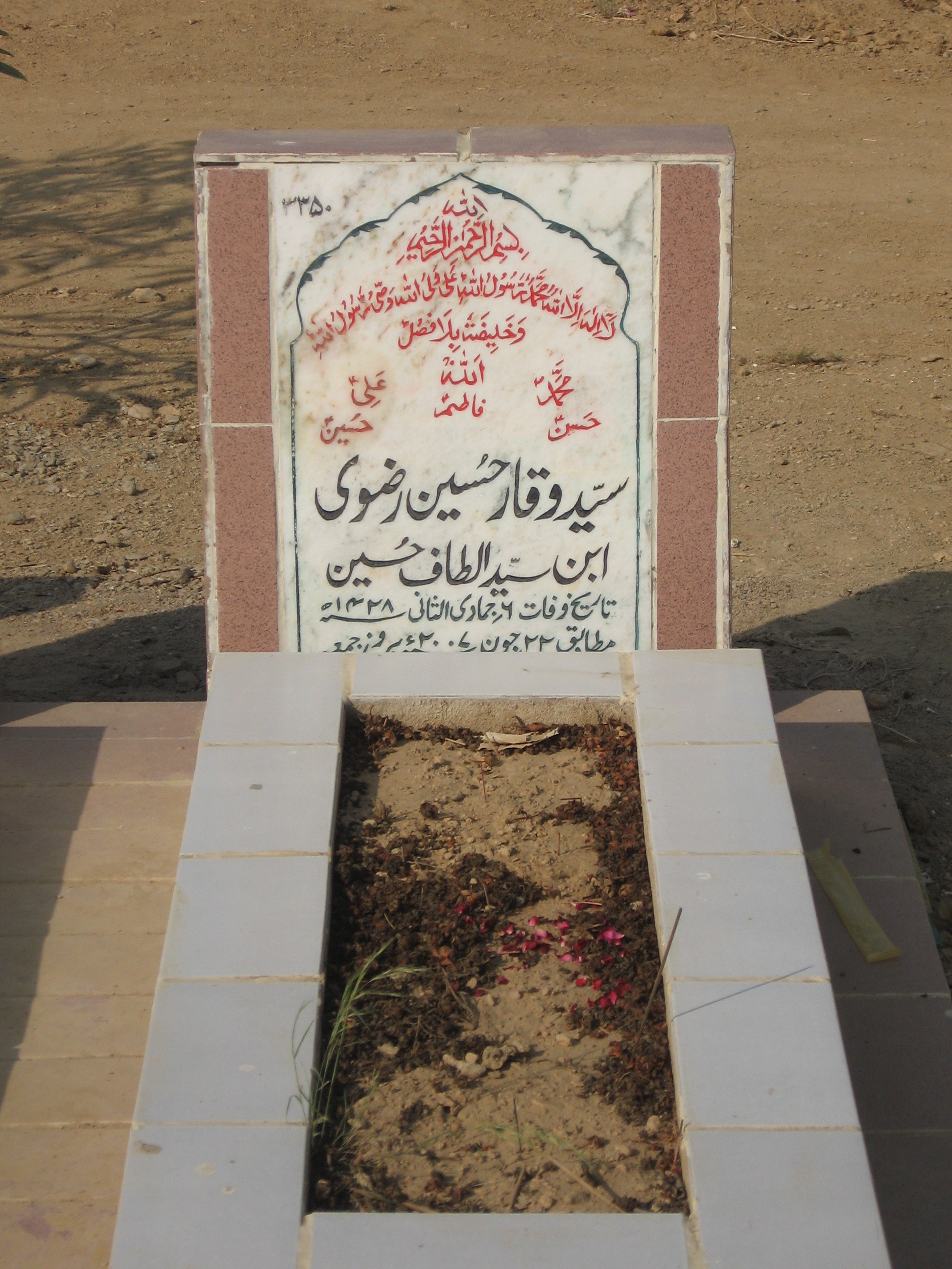 3350 – Syed Waqar Hussain Rizvi