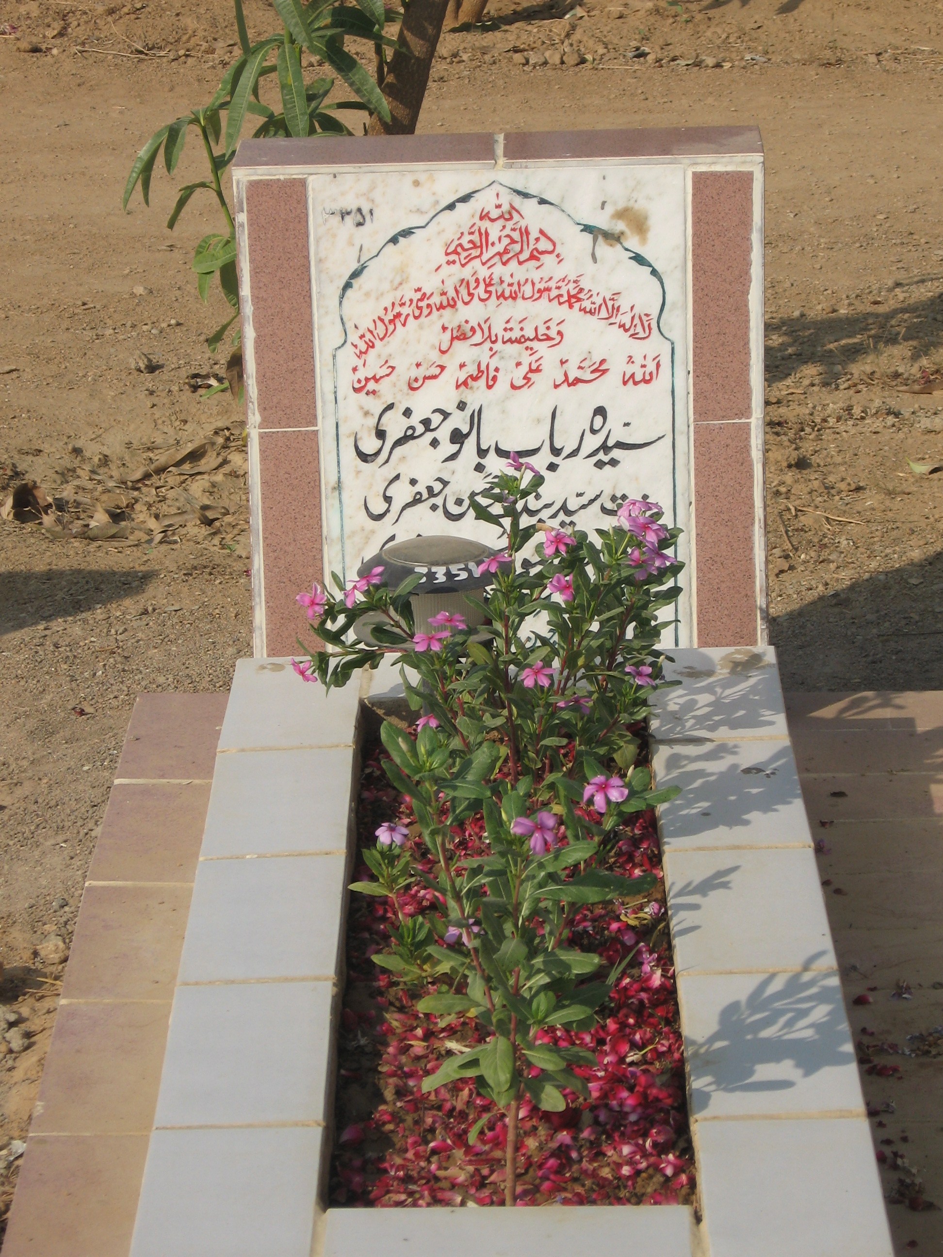 3351 – Syeda Rabab Bano