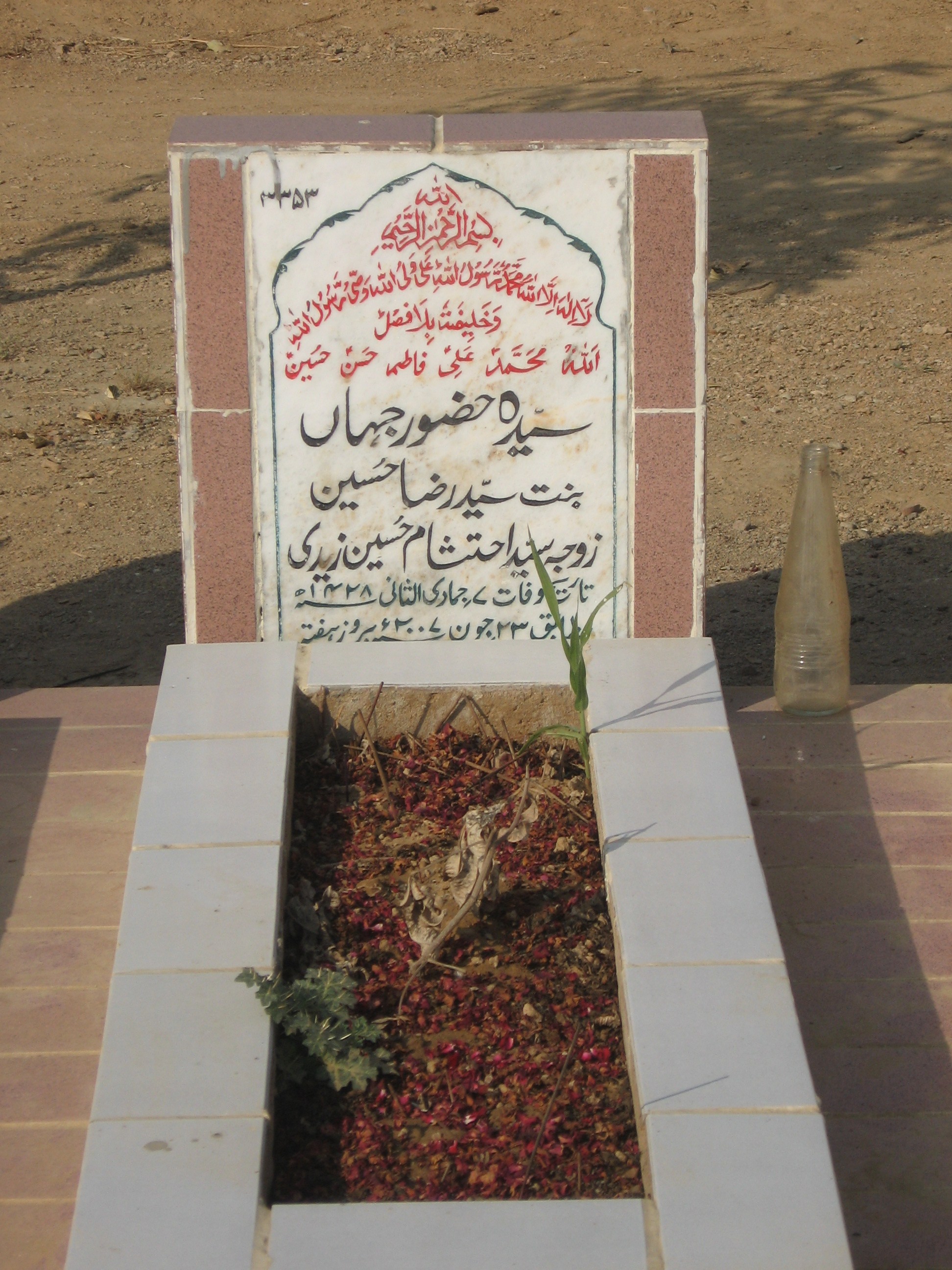 3353 – Syeda Huzoor e Jahan