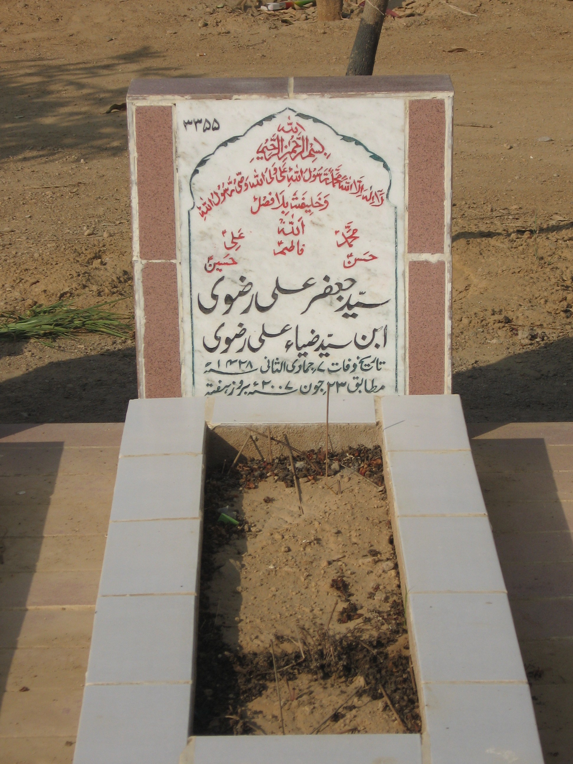 3355 – Syed Jafar Ali Rizvi