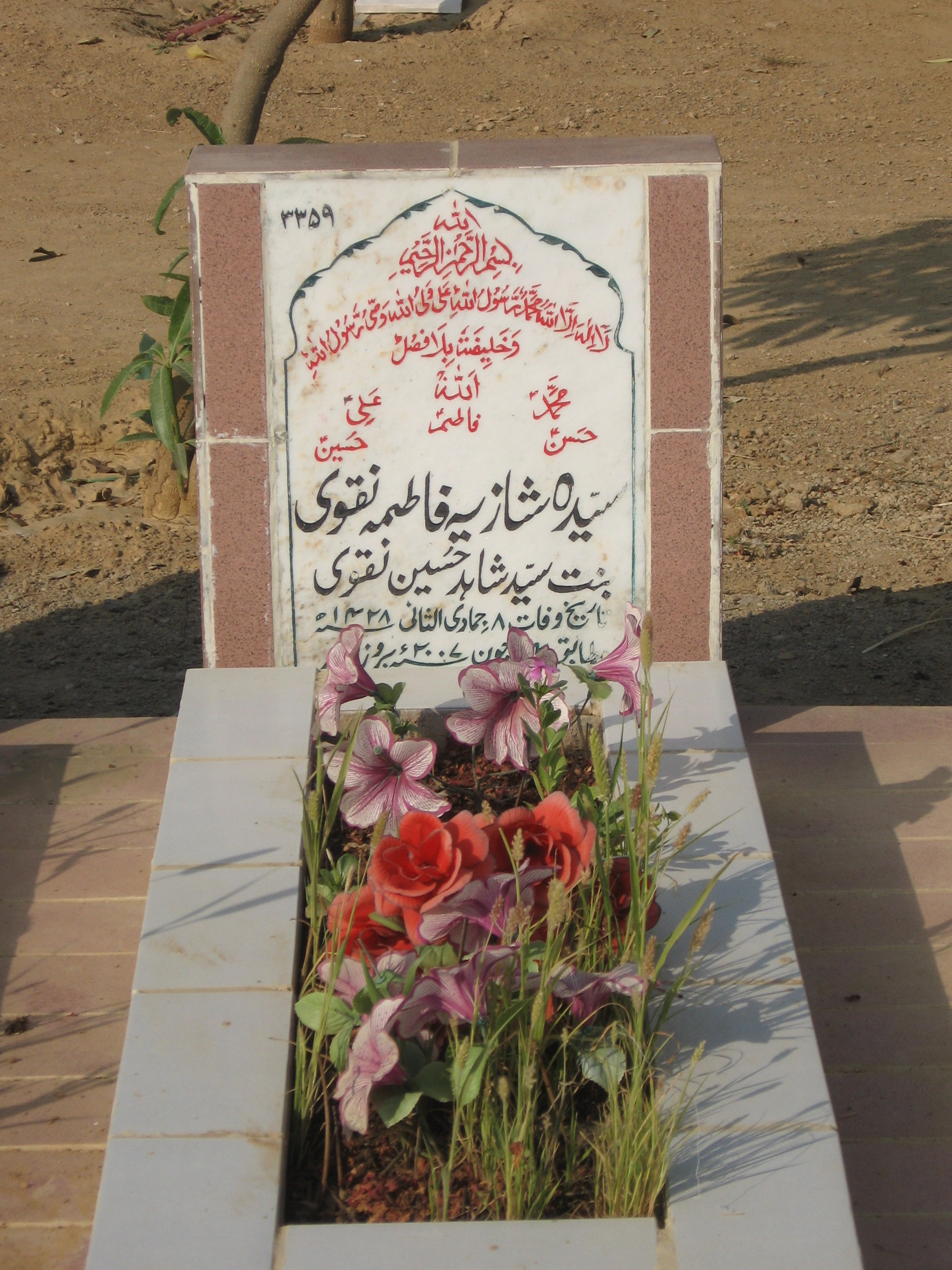 3359 – Syeda Shaziya Fatima Naqvi