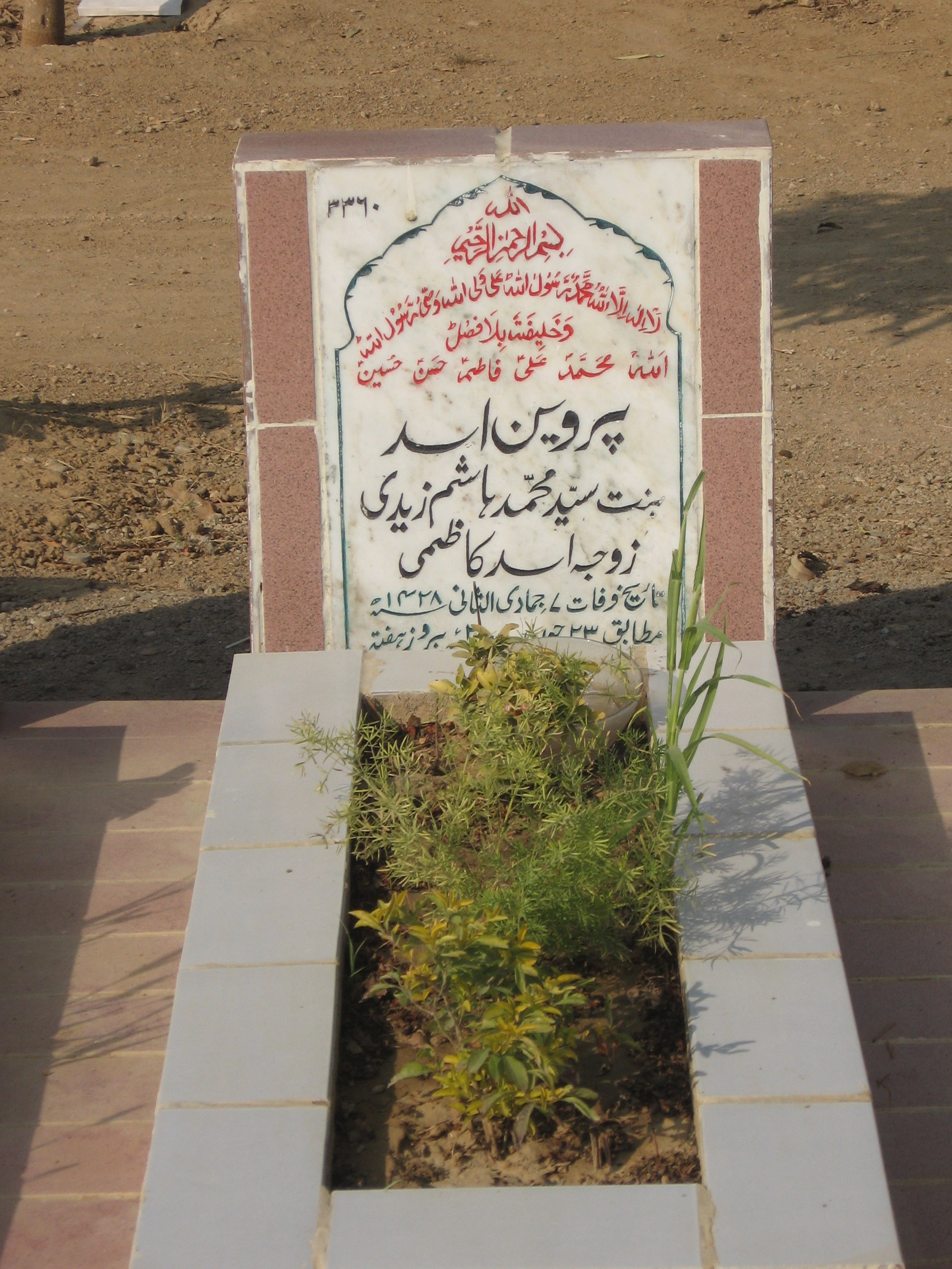 3360 – Perveen Asad