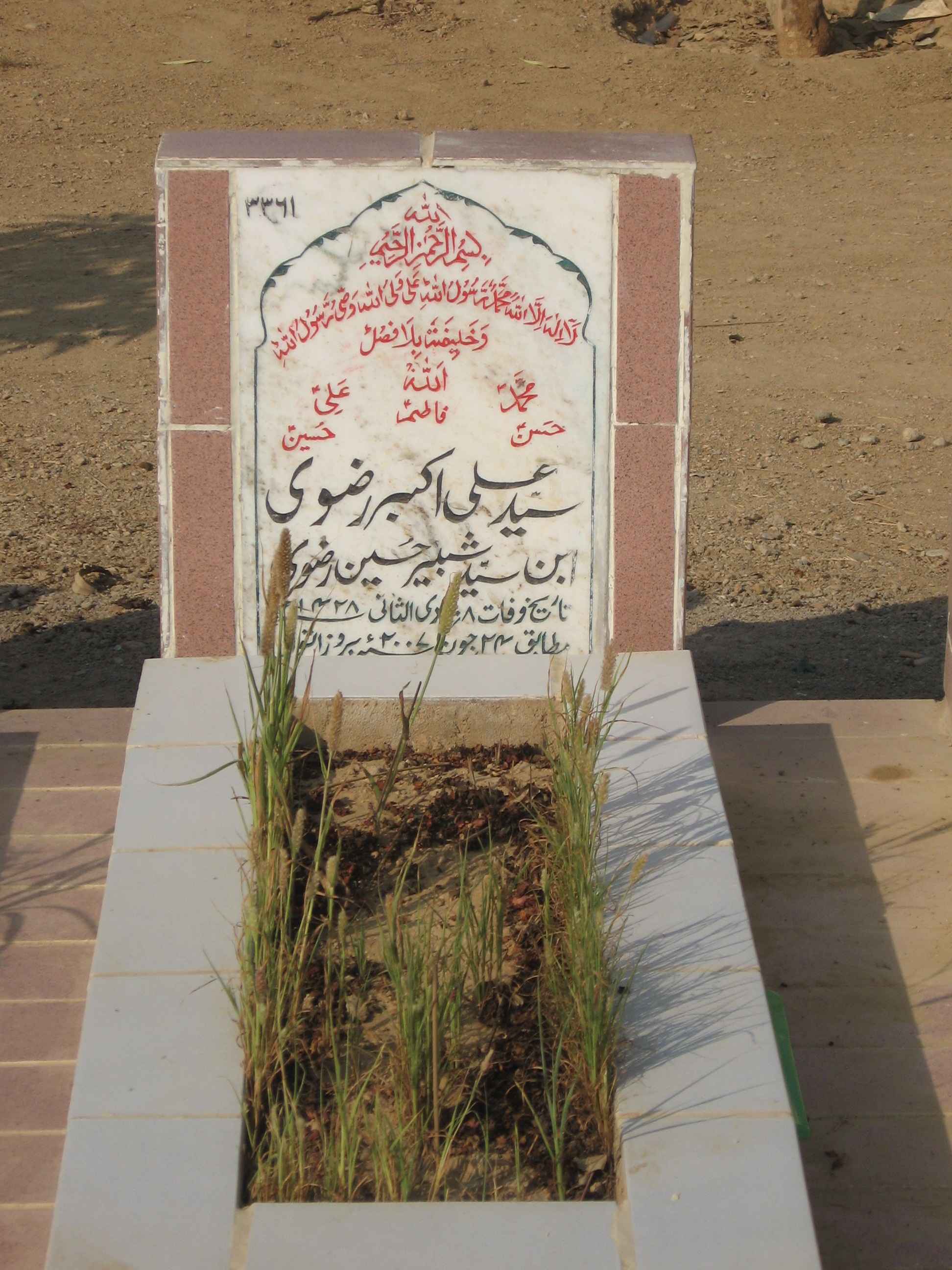 3361 – Syed Ali Akbar Rizvi