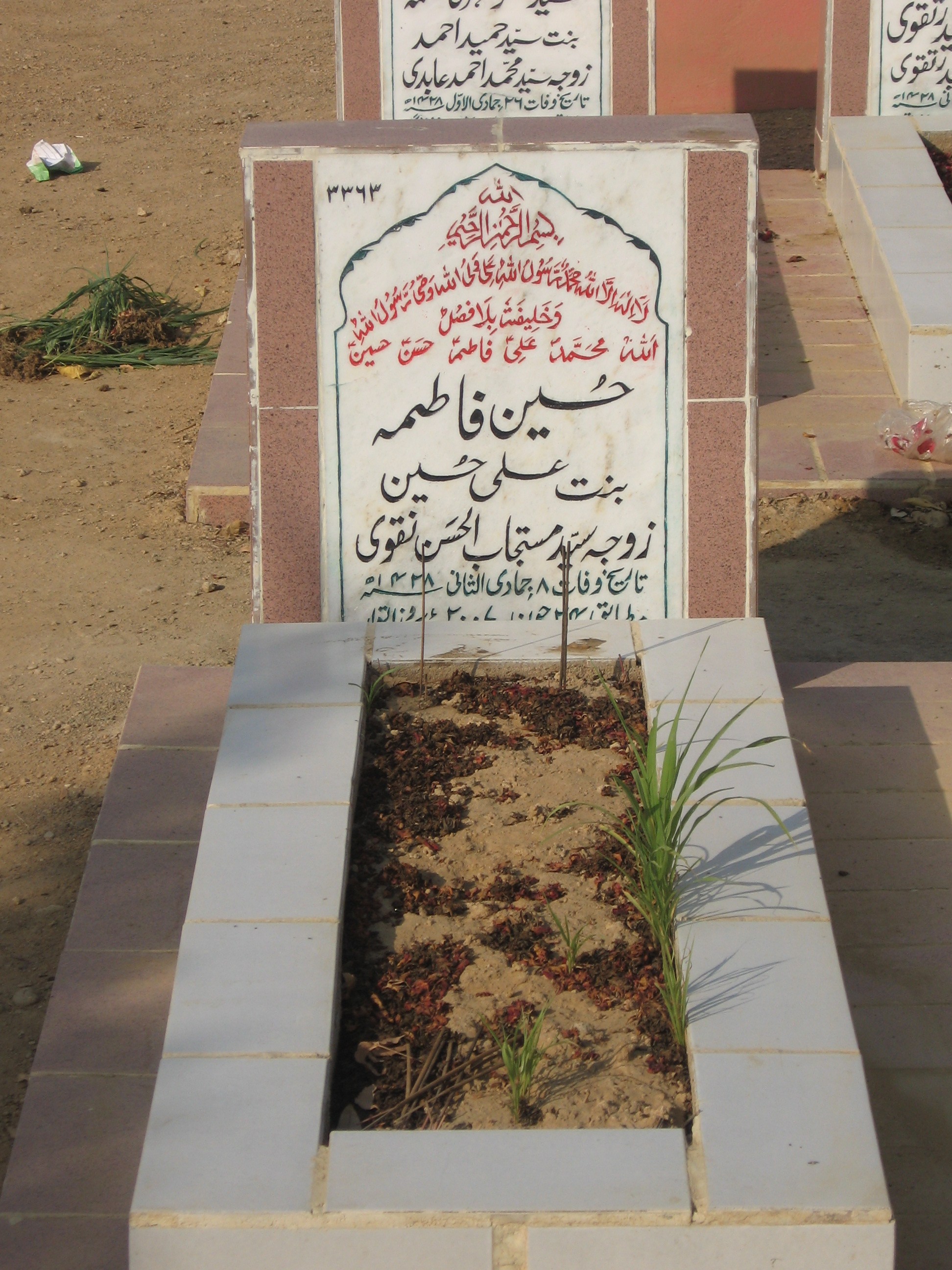 3363 – Hussain Fatima