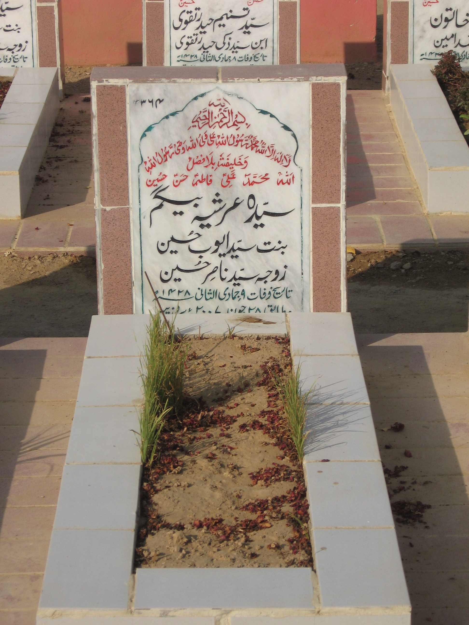 3364 – Syeda Suriya Beghum