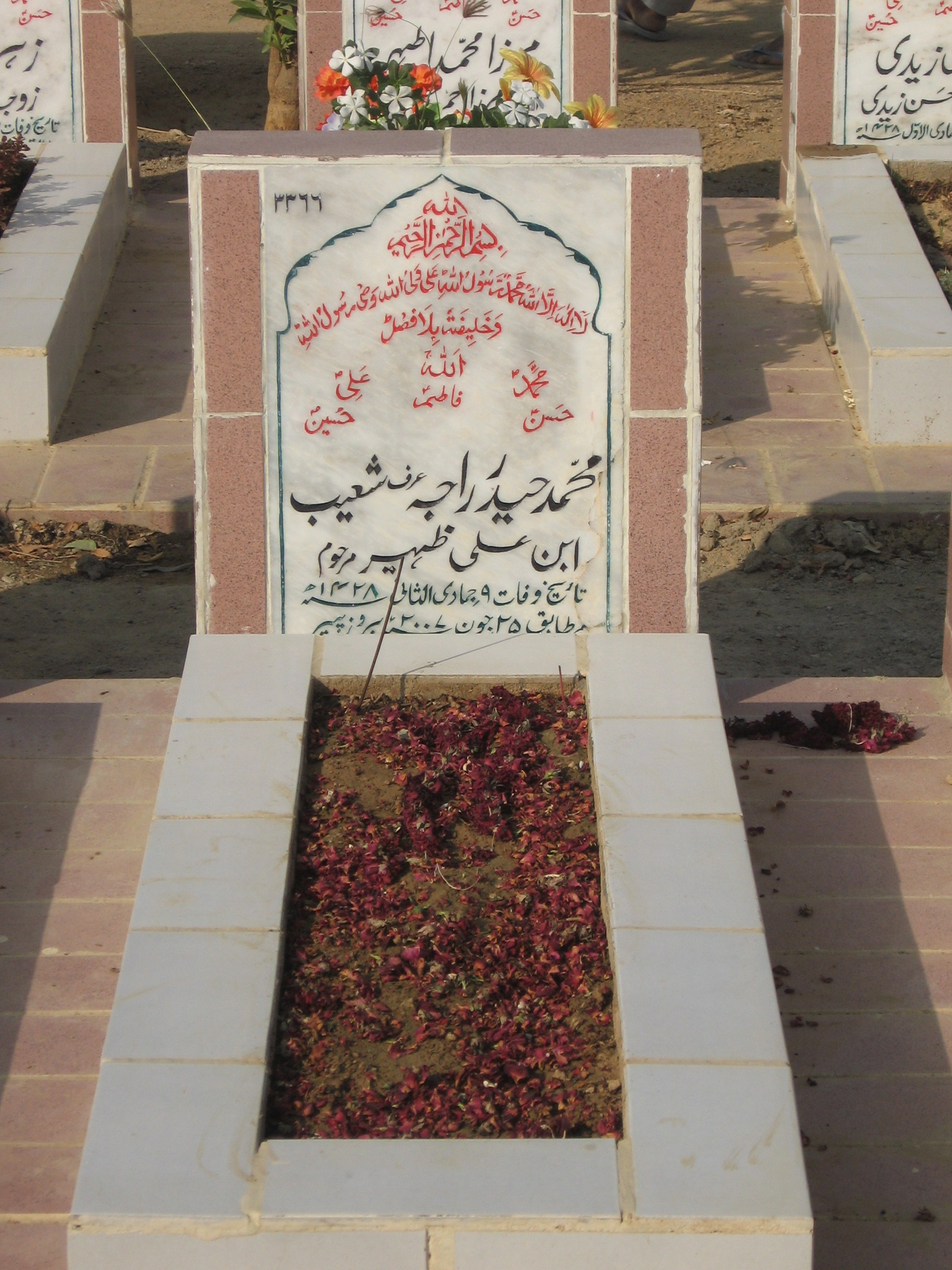 3366 – Mohd Haider Raja