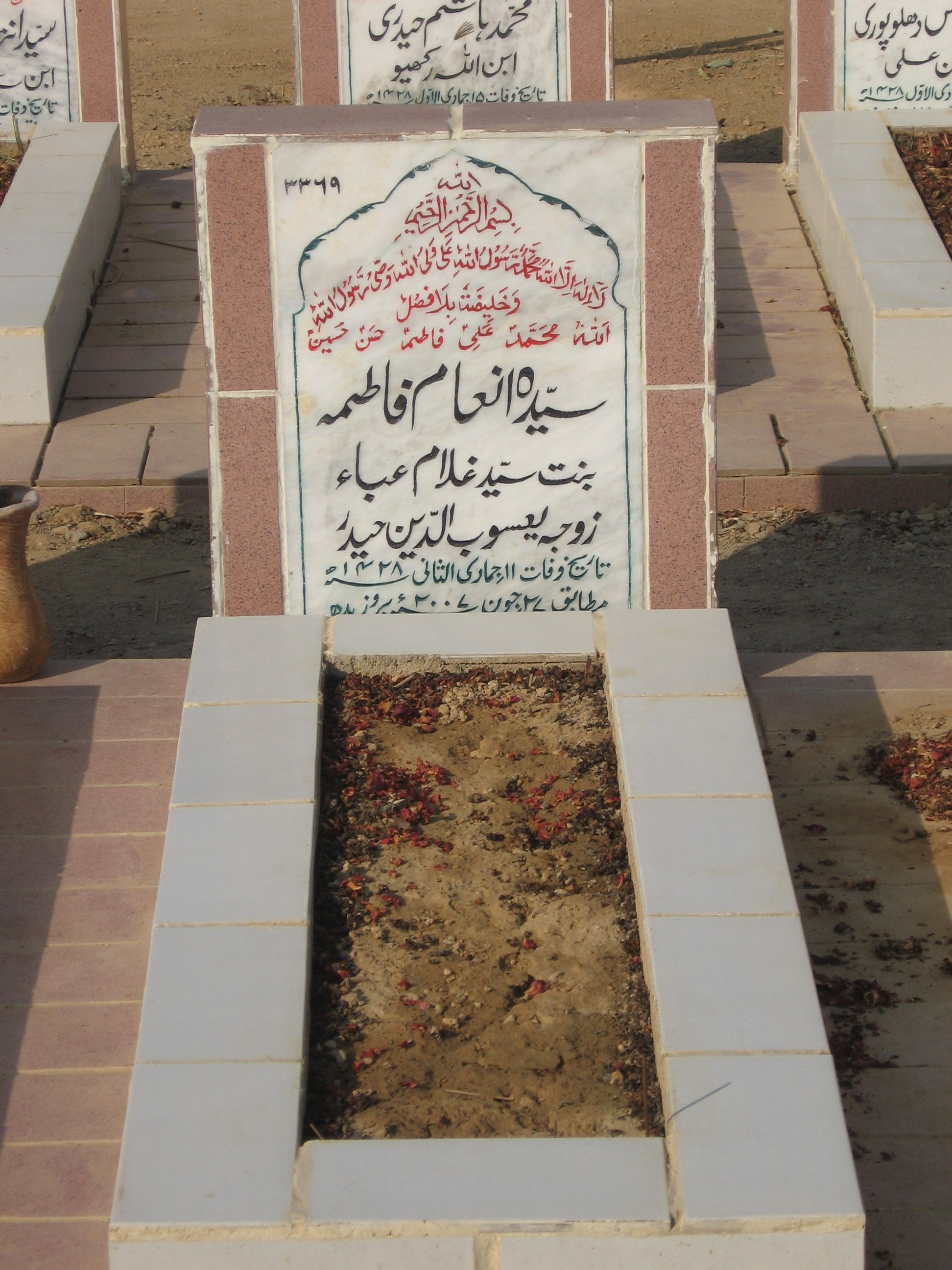 3369 – Syeda Enaam Fatima