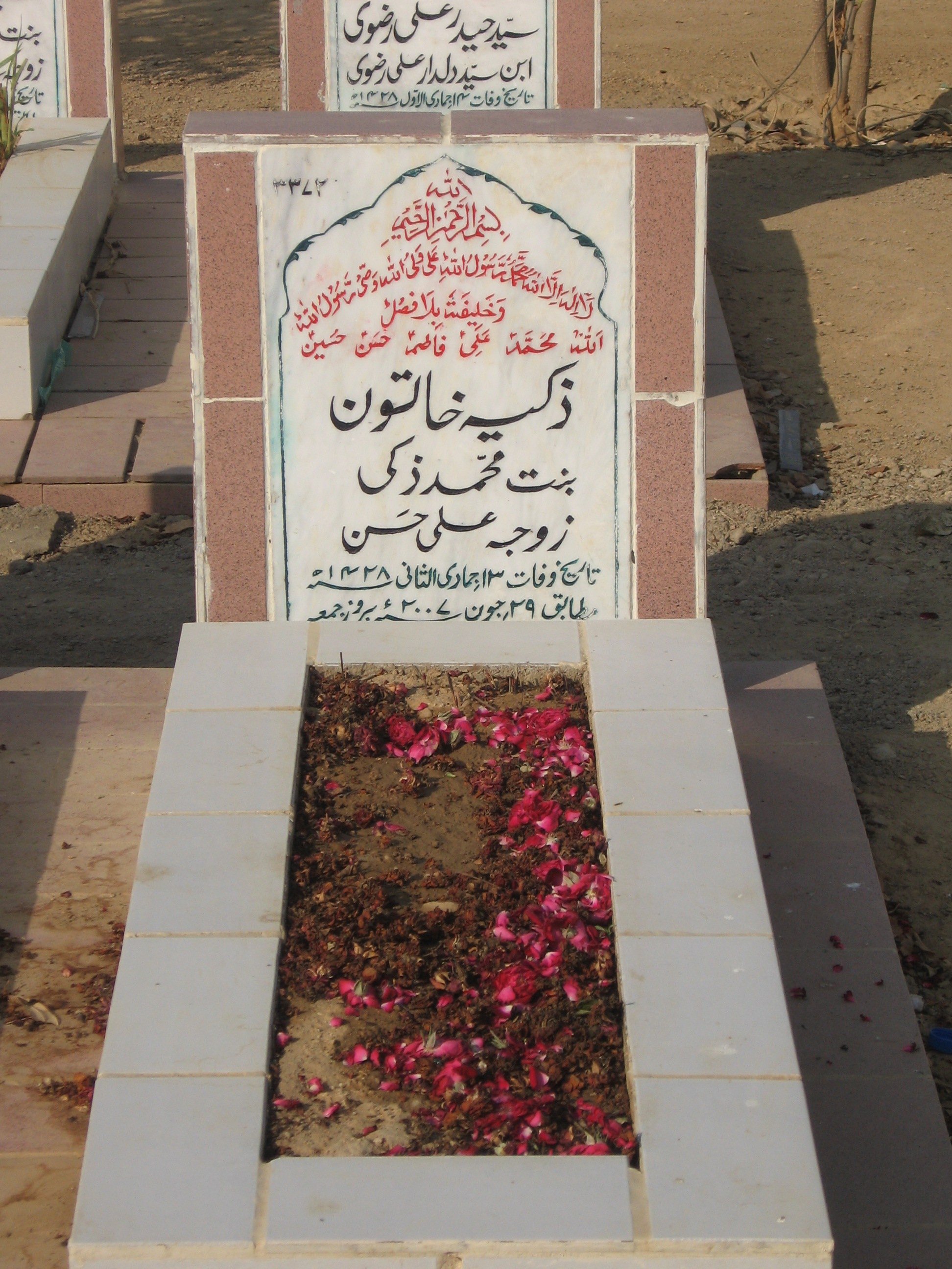 3372 – Zakiya Khatoon