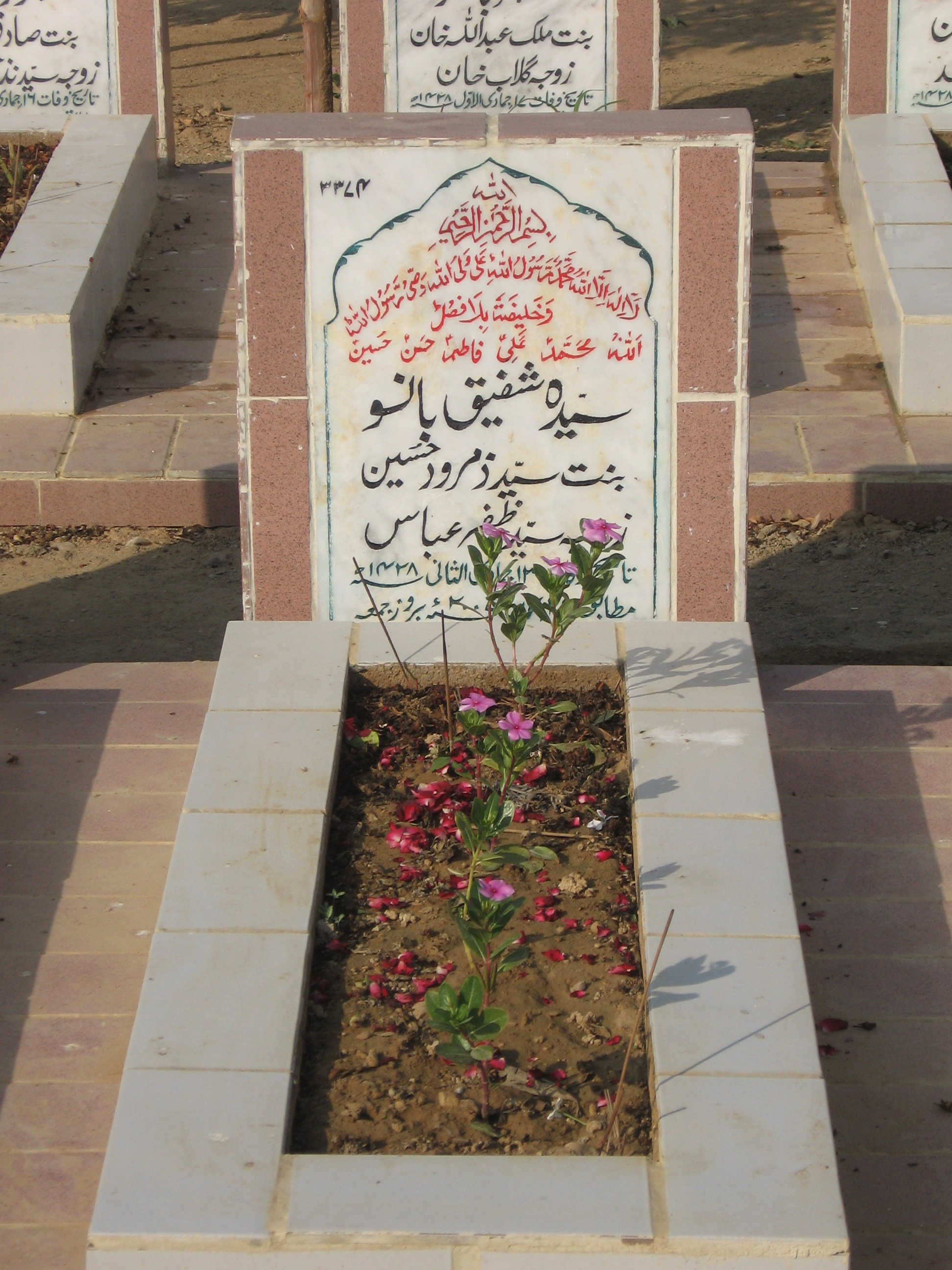 3374 – Syeda Shafeeq Bano