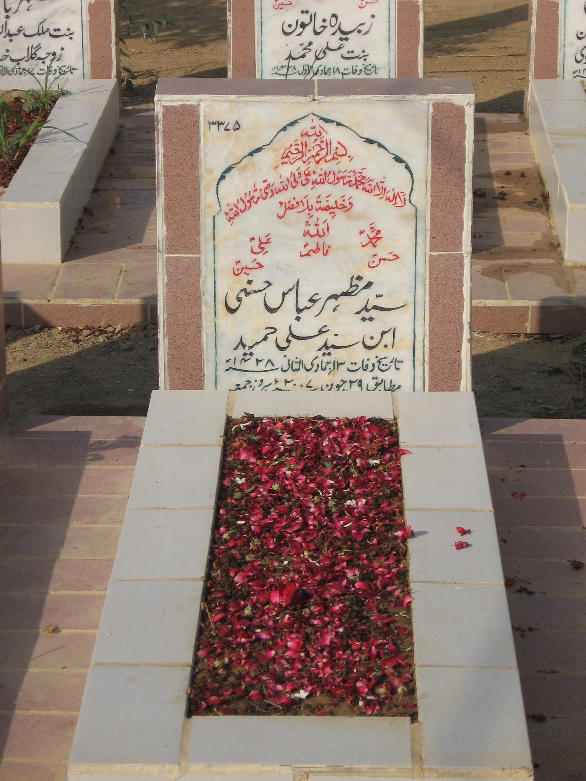 3375 – Syed Mazhar Abbas Hasni