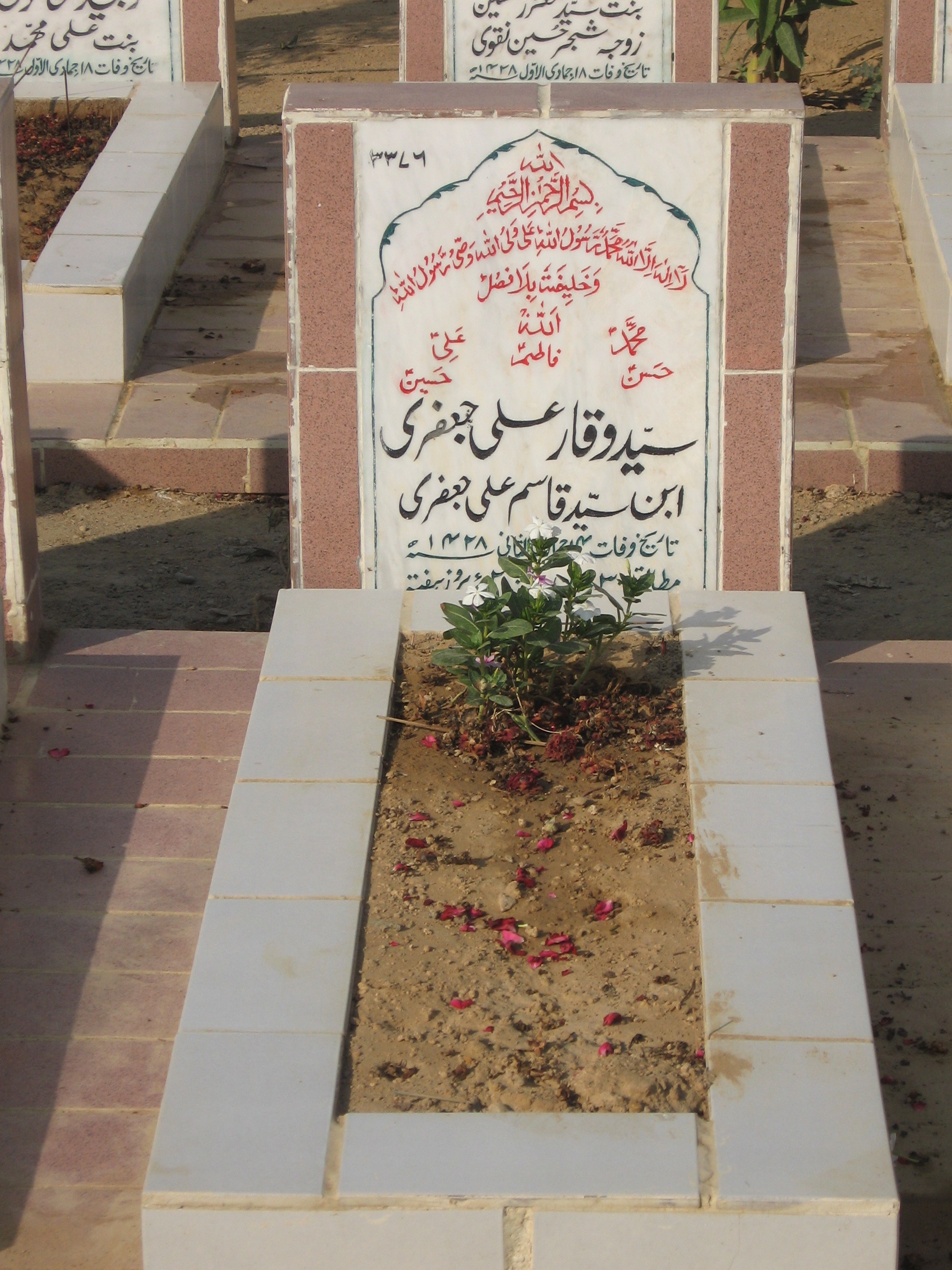 3376 – Syed Waqar Ali Jaffari