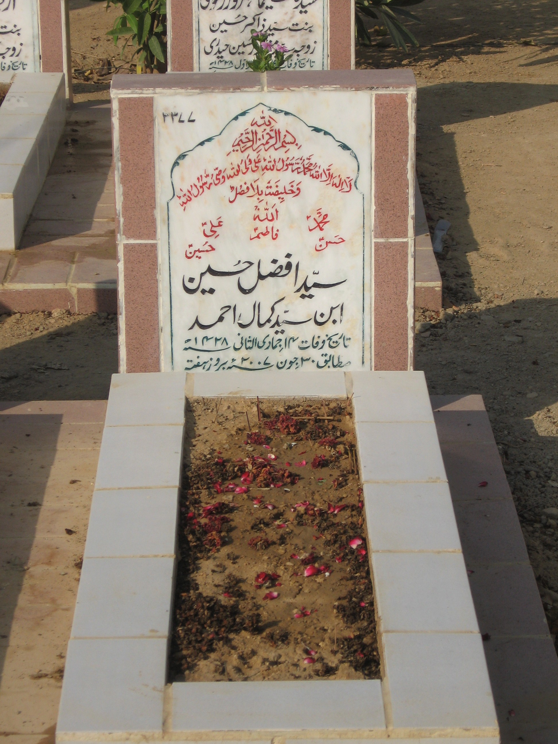 3377 – Syed Afzal Hussain