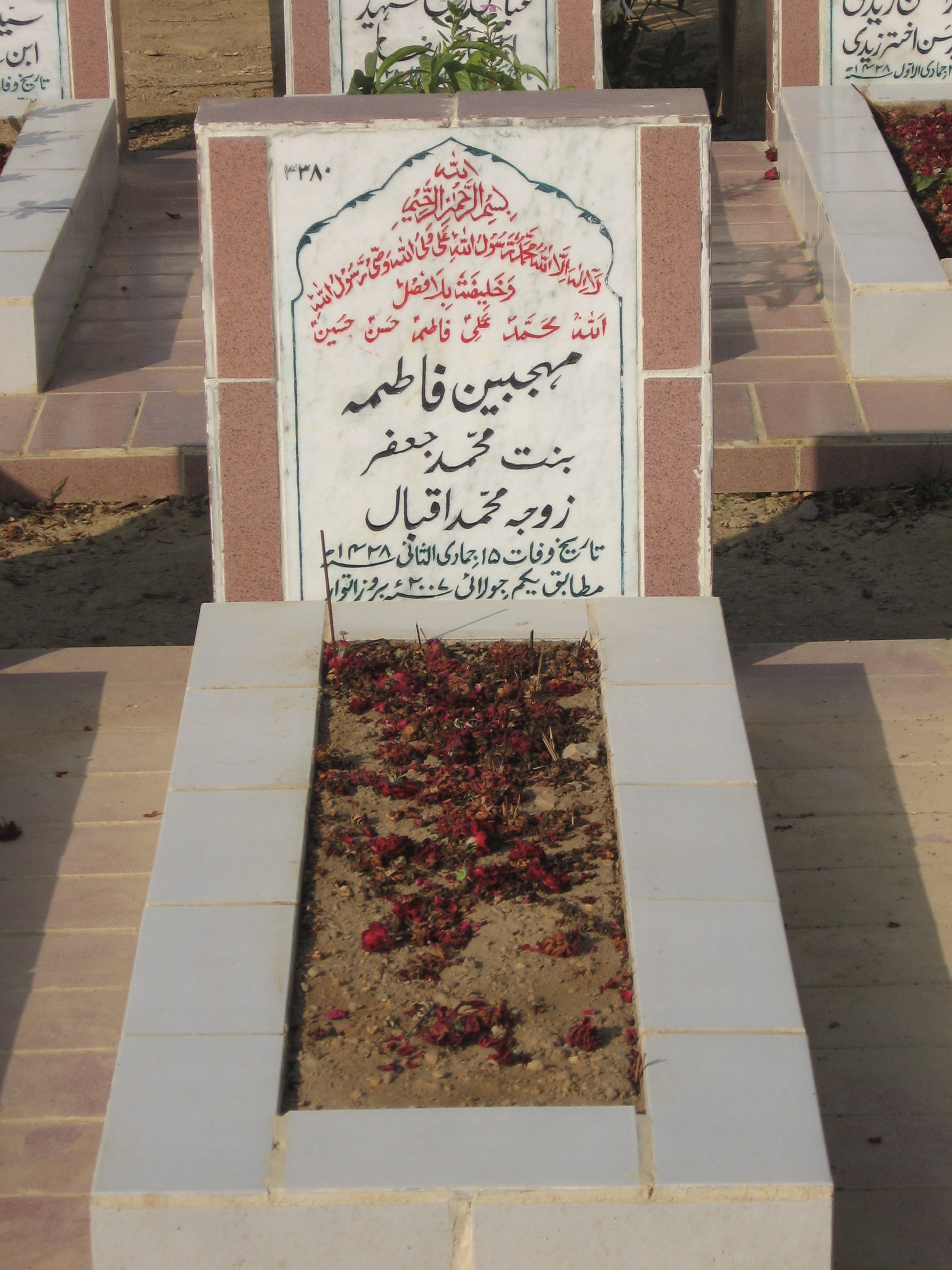 3380 – Mehjabeen Fatima