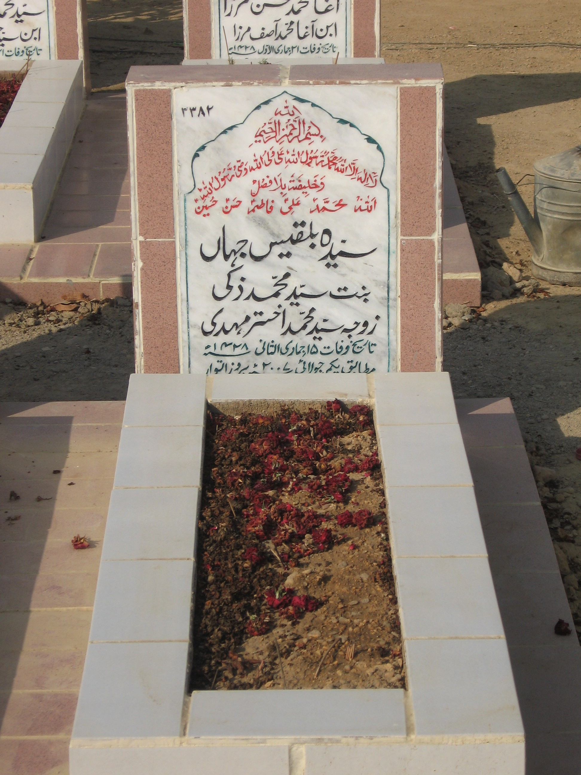 3382 – Syeda Belqees Jahan