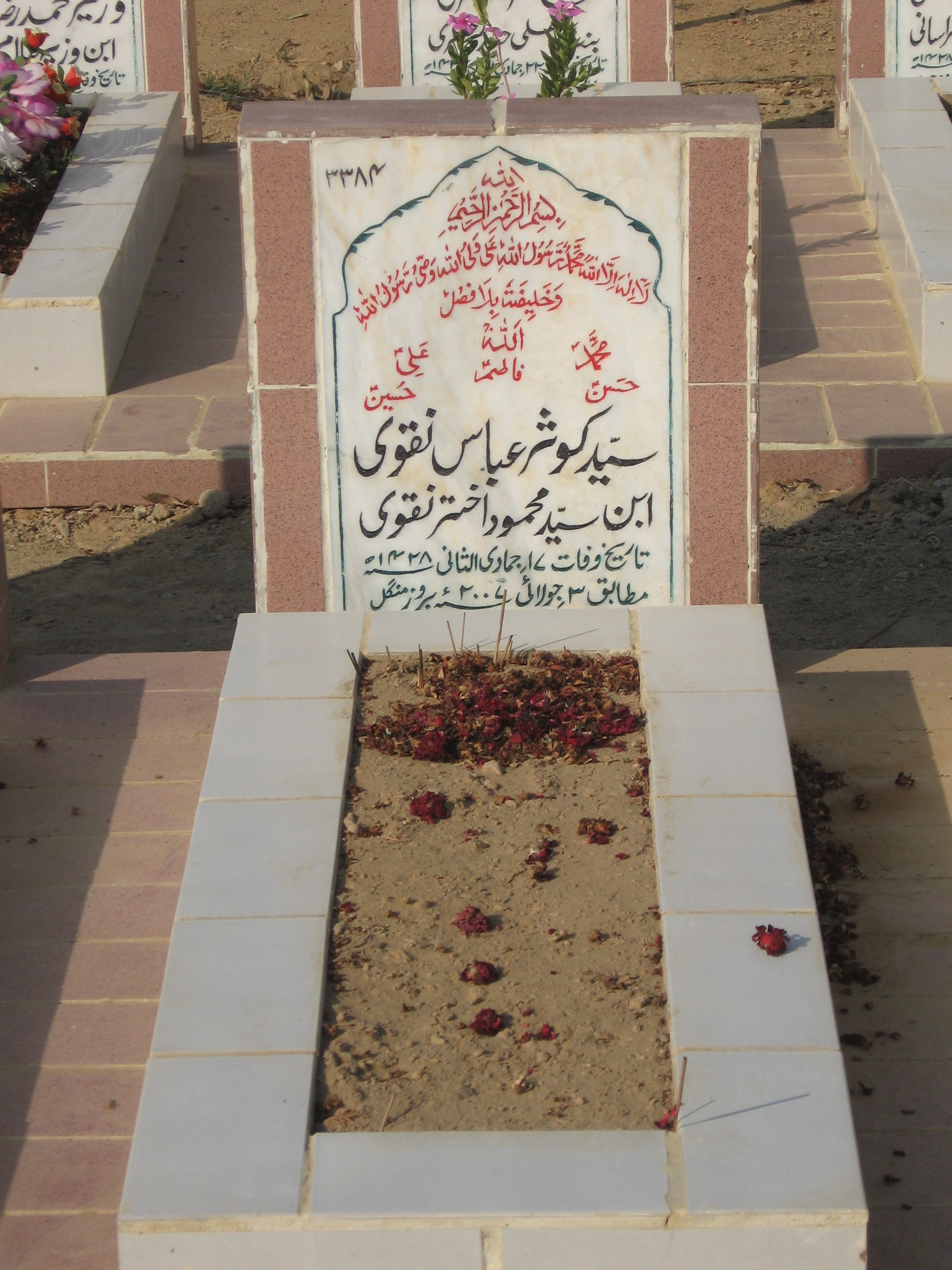 3384 – Syed Kusar Abbas Naqvi