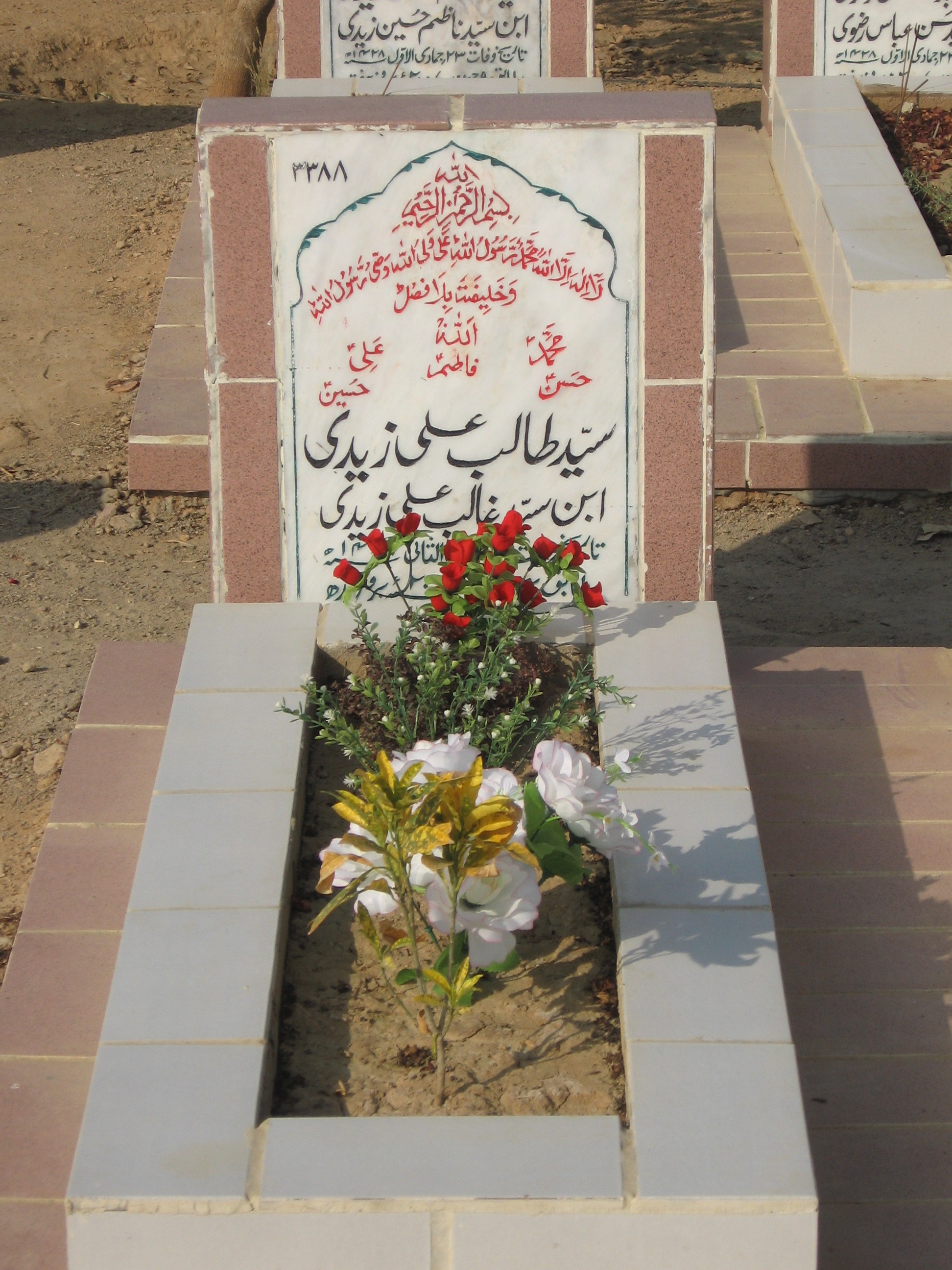 3388 – Syed Talib Ali Zaidi