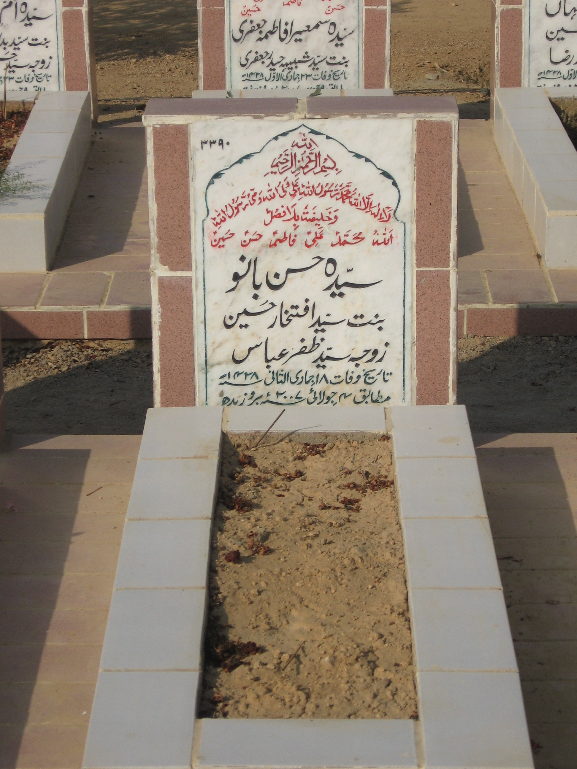 3390 – Syeda Hasan Bano