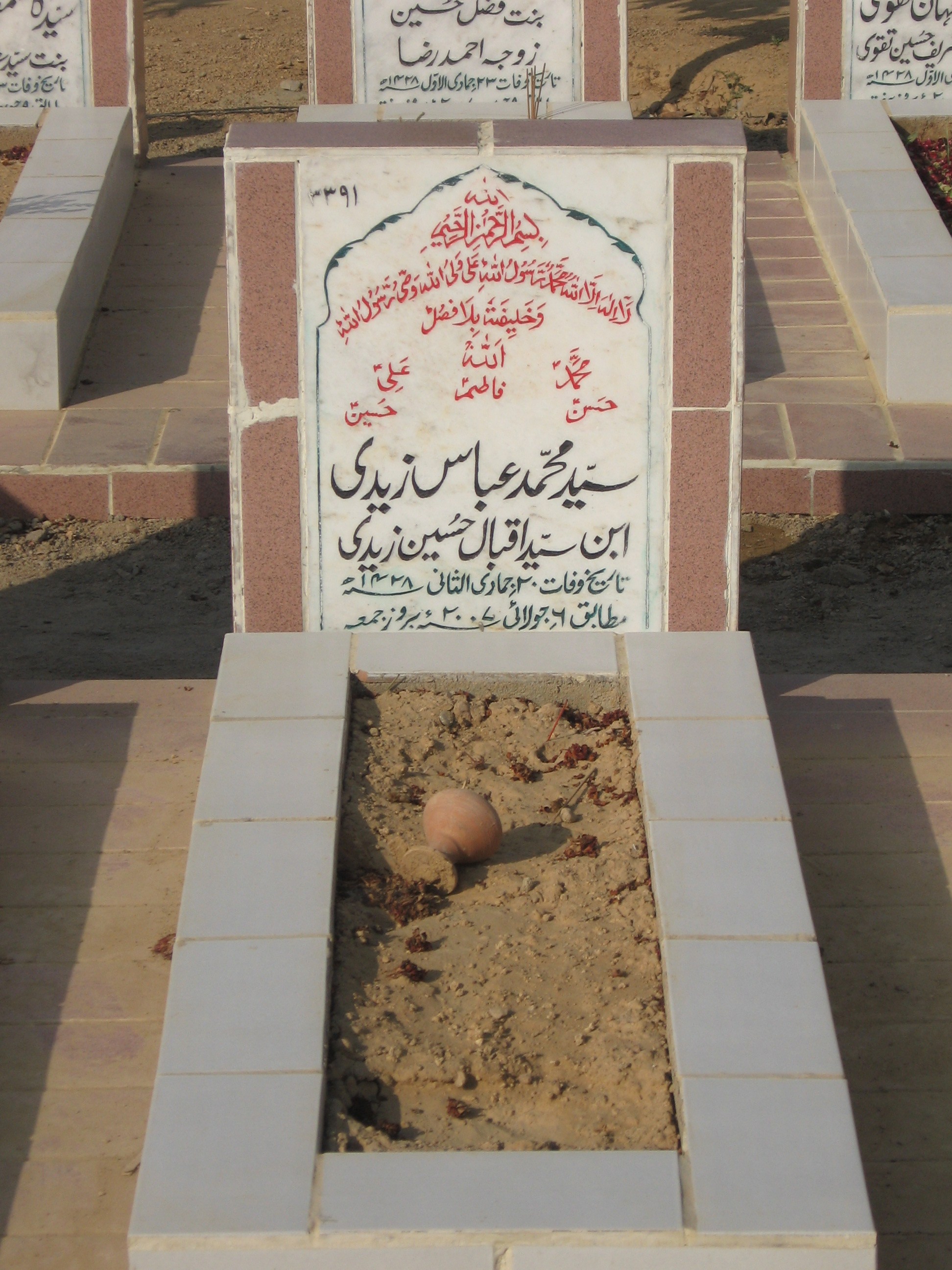 3391 – Syed Mohd Abbas Zaidi