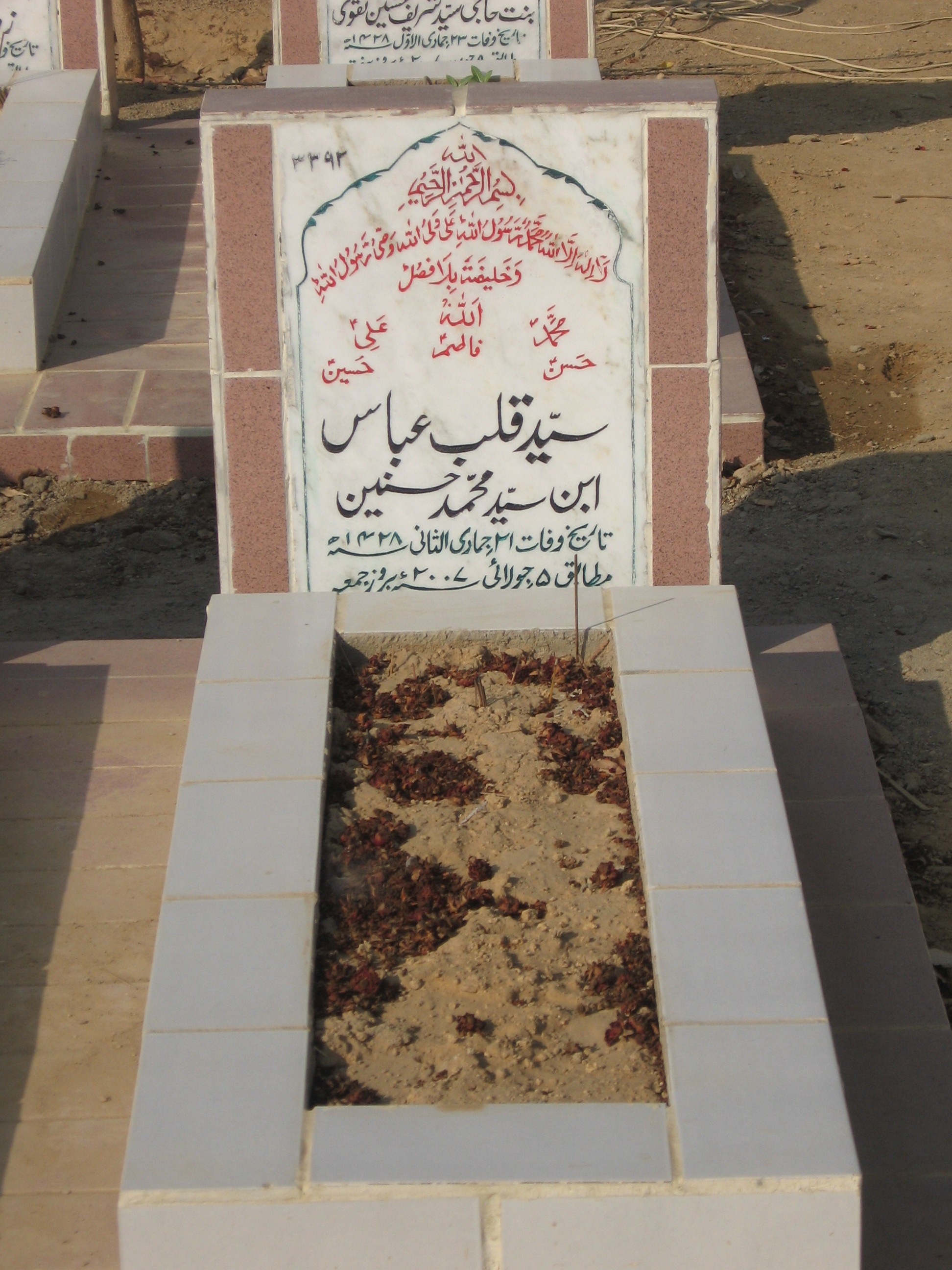 3392 – Syed Qalb e Abbas