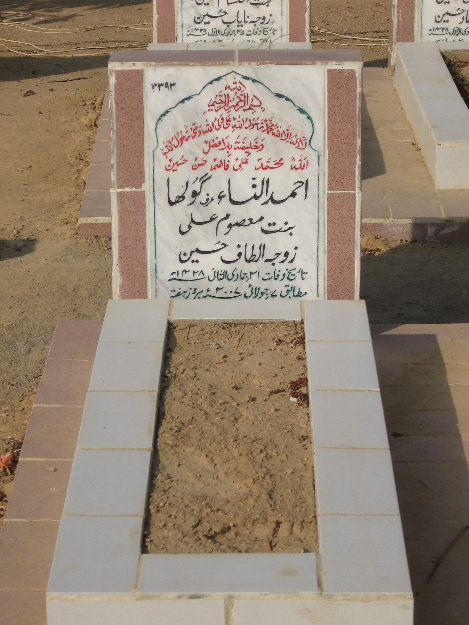 3393 – Ahemd Ul Nisa