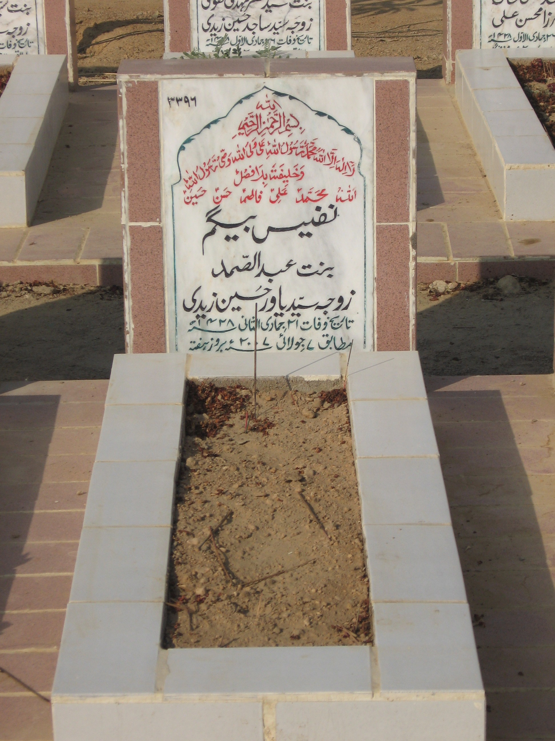 3396 – Nafees Bano