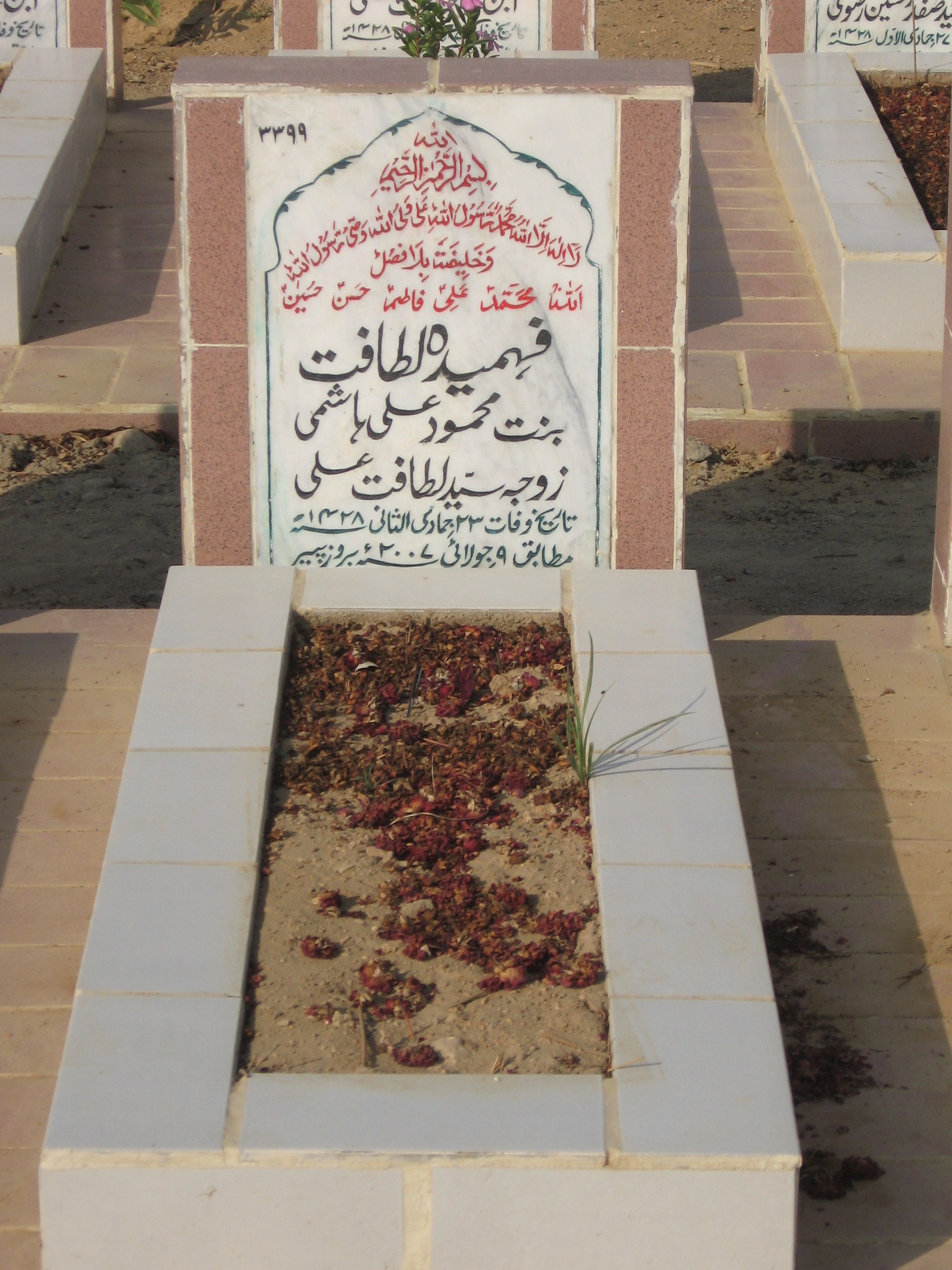 3399 – Fehmeda Latafat