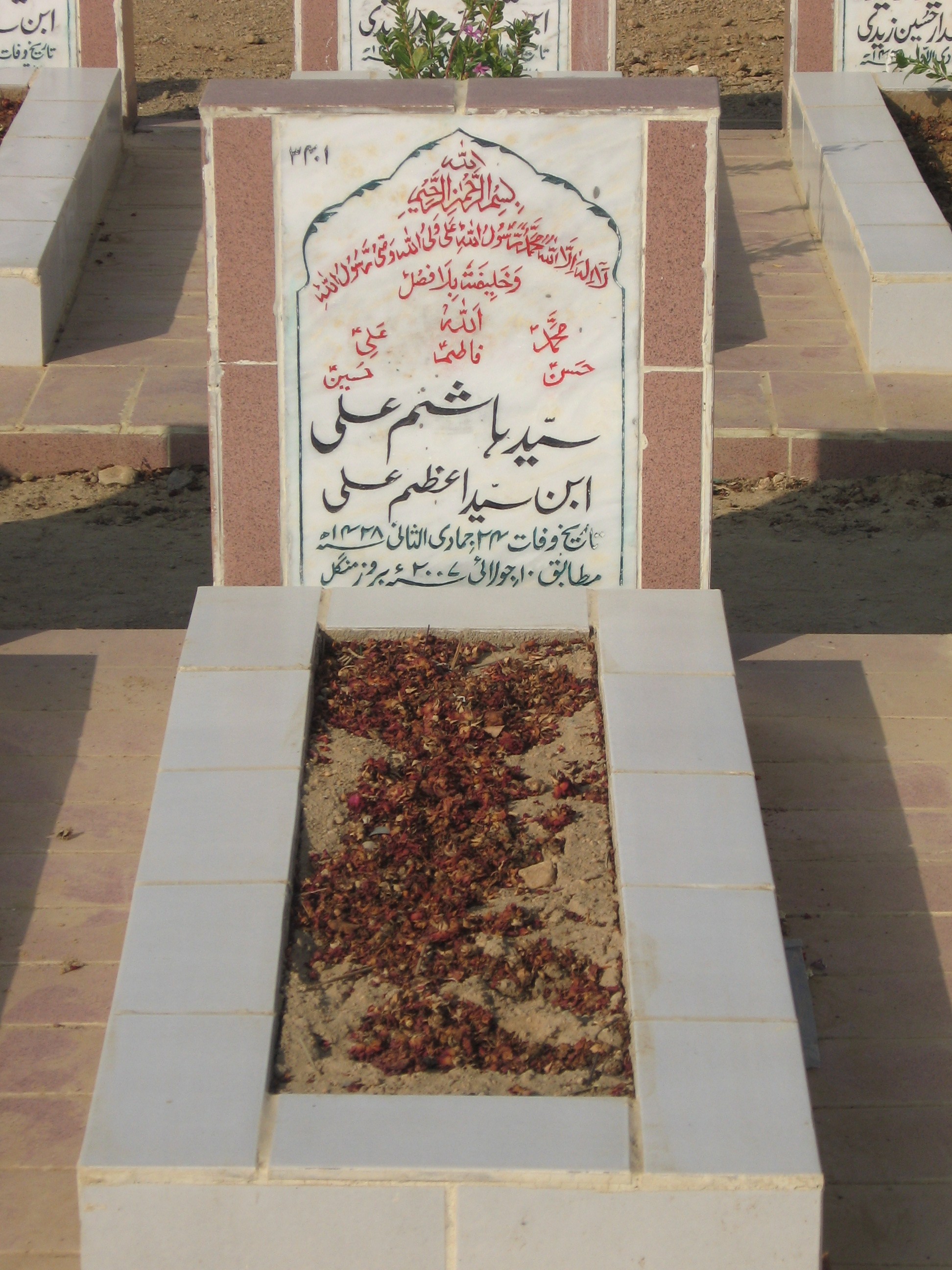 3401 – Syed Hashim Ali