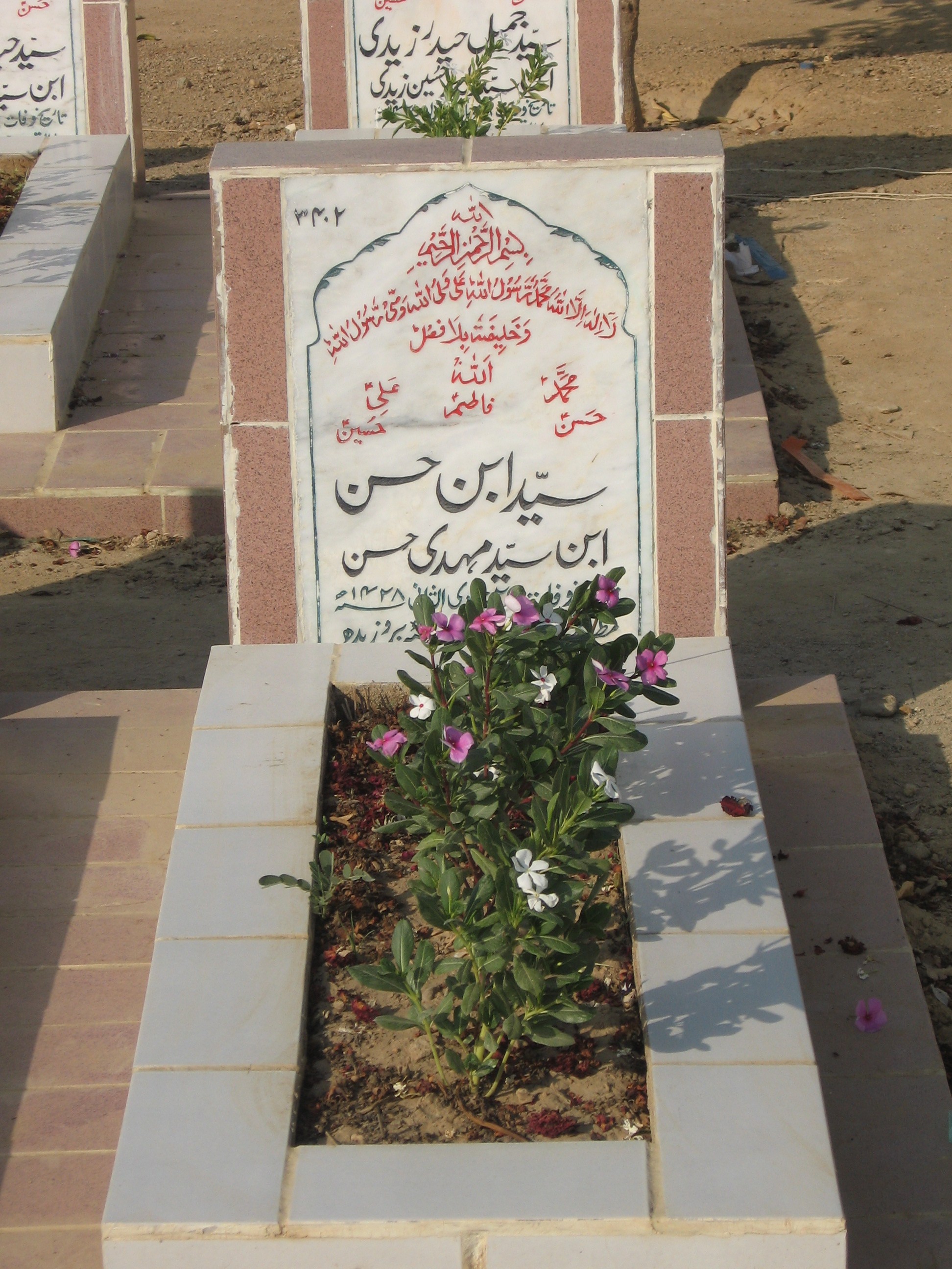 3402 – Syed Ibne Hassan