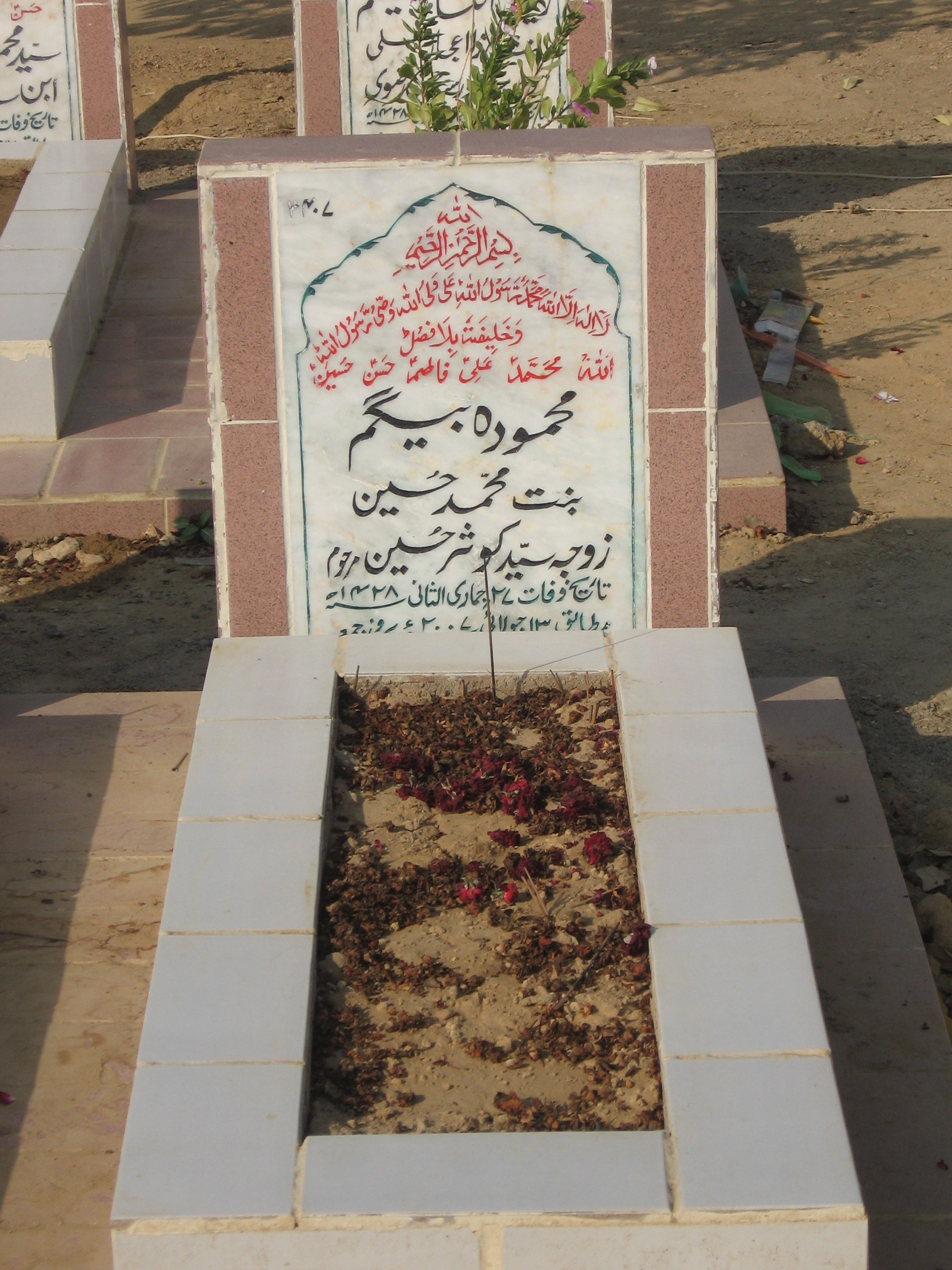 3407 – Mehmooda Begum