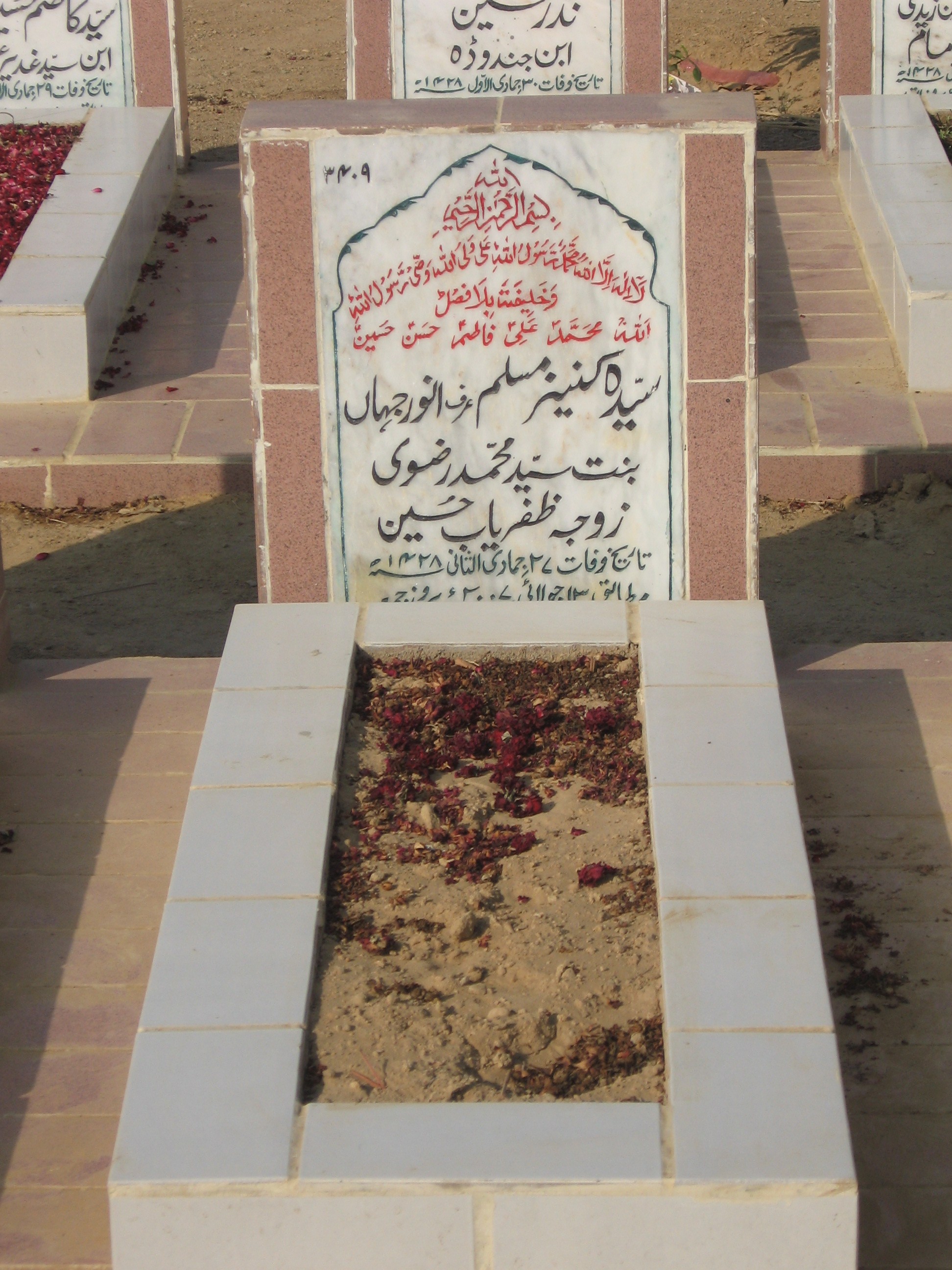 3409 – Syeda Kaneez Muslim