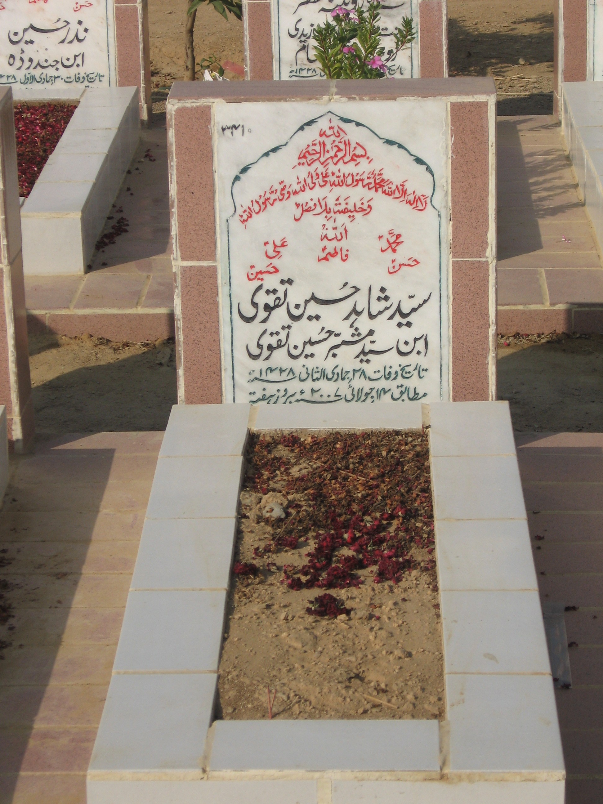 3410 – Syed Shahid Hussain Taqvi