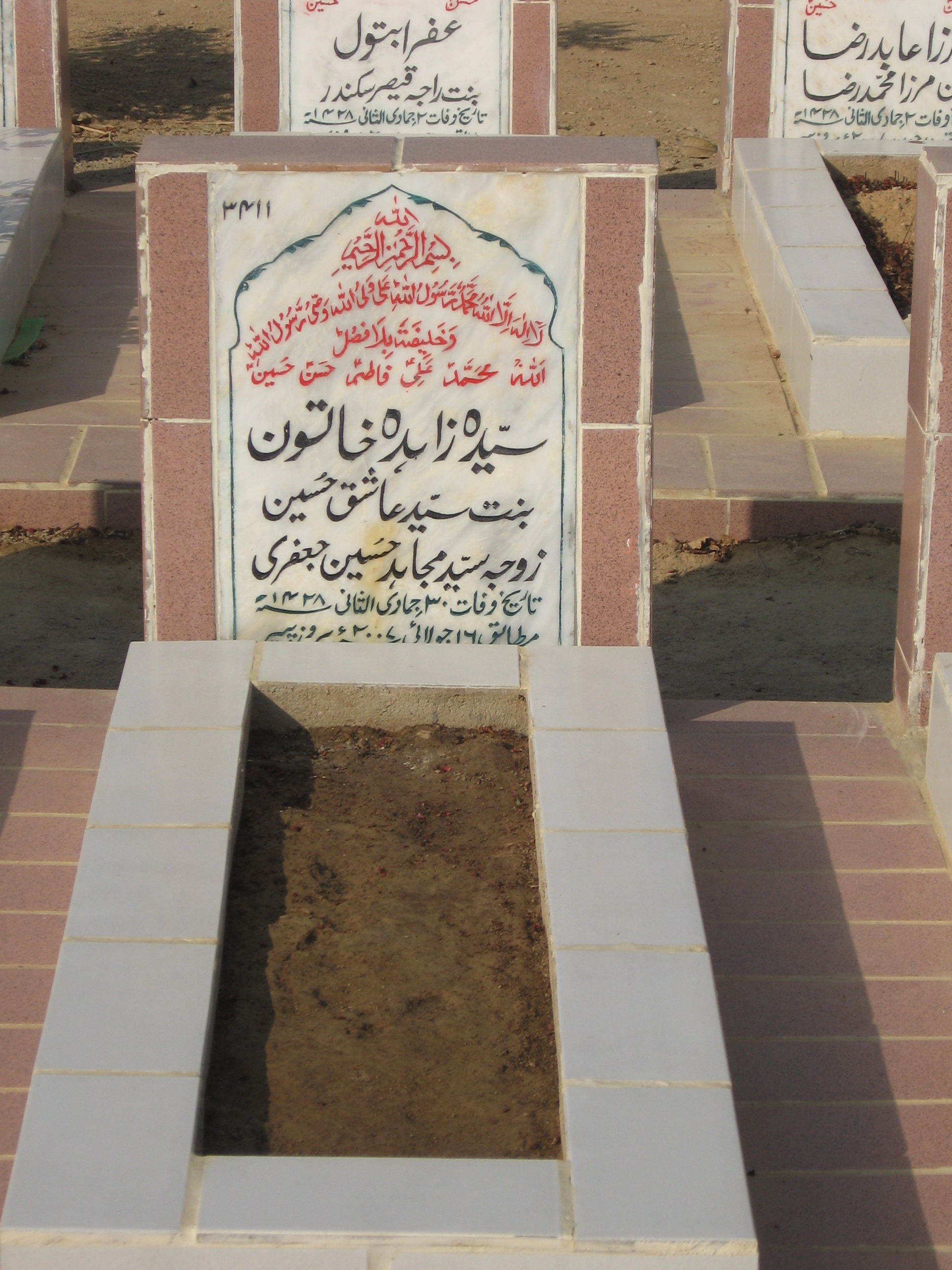 3411 – Syeda Zahida Khatoon