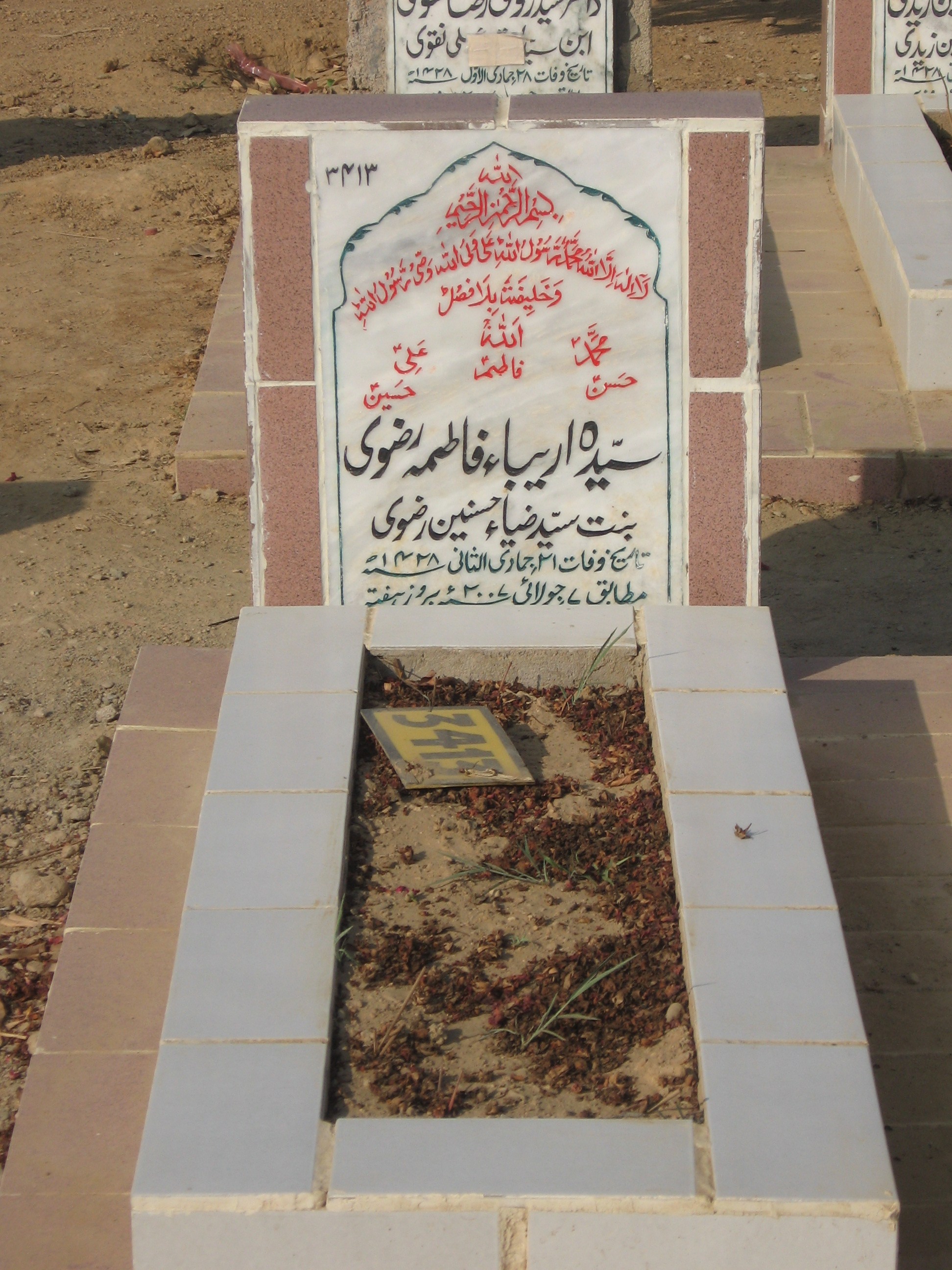 3413 – Syeda Areeba Fatima