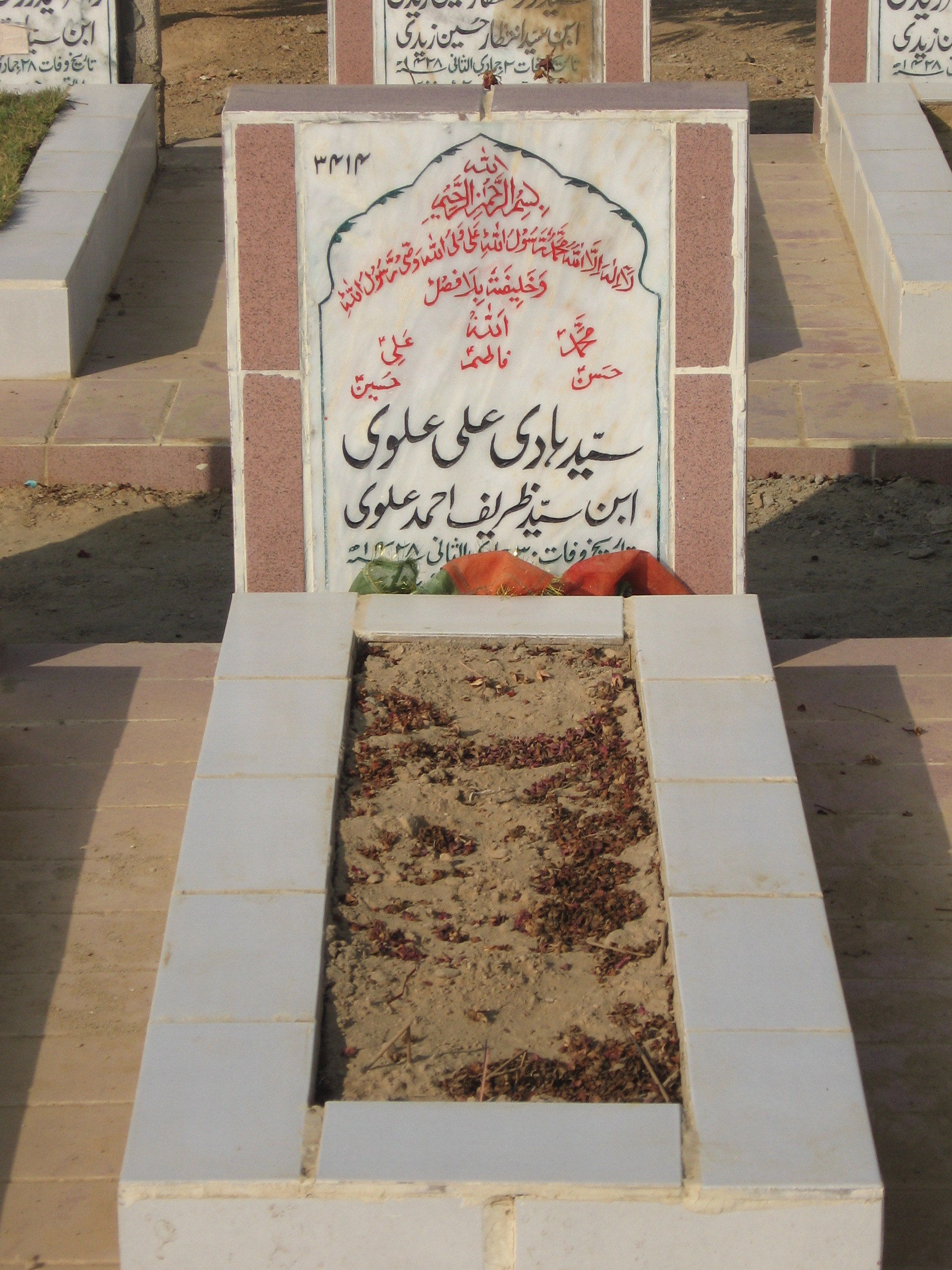 3414 – Syed Hadi Ali Alvi