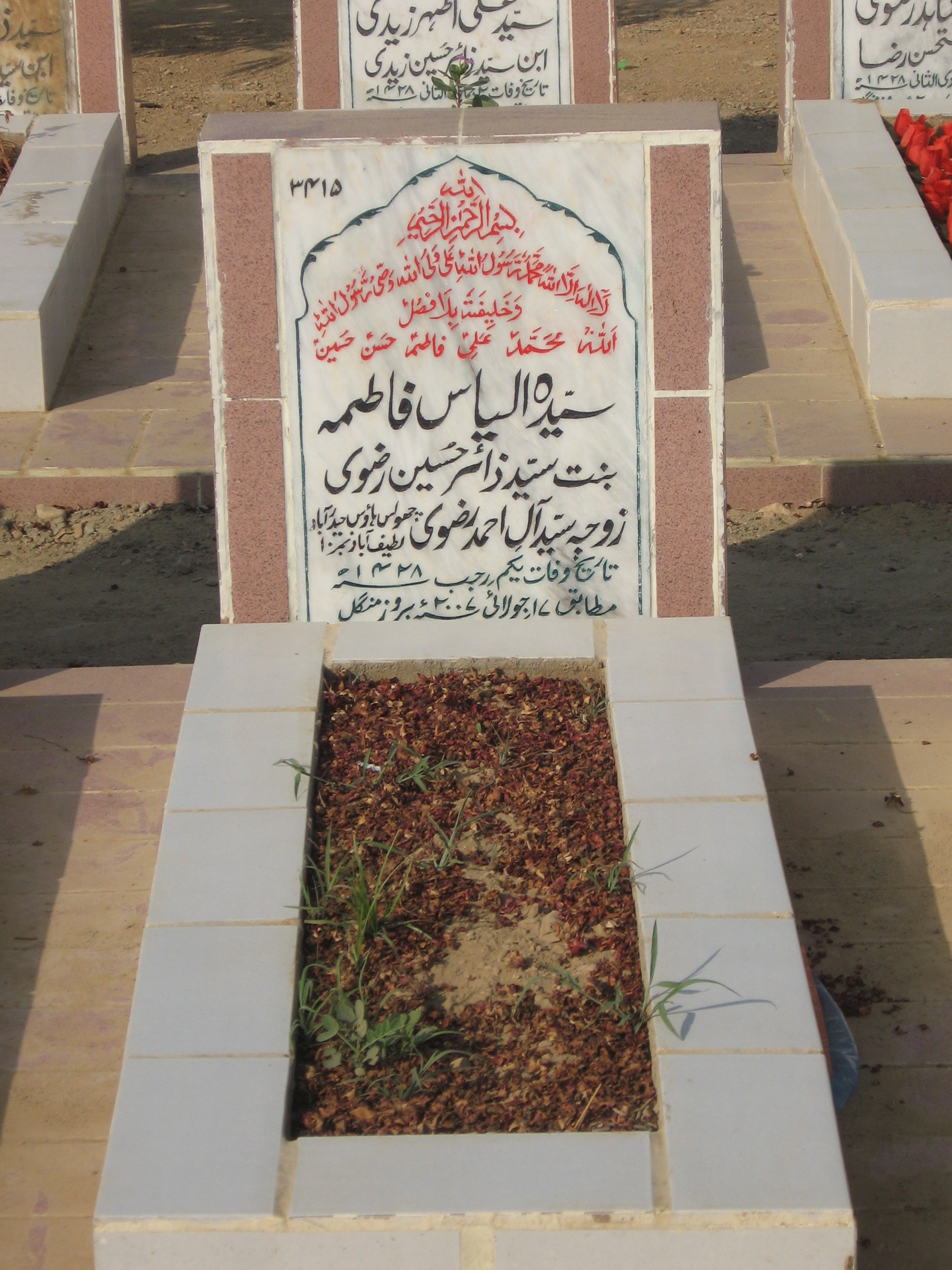 3415 – Syeda Elyaz Fatima