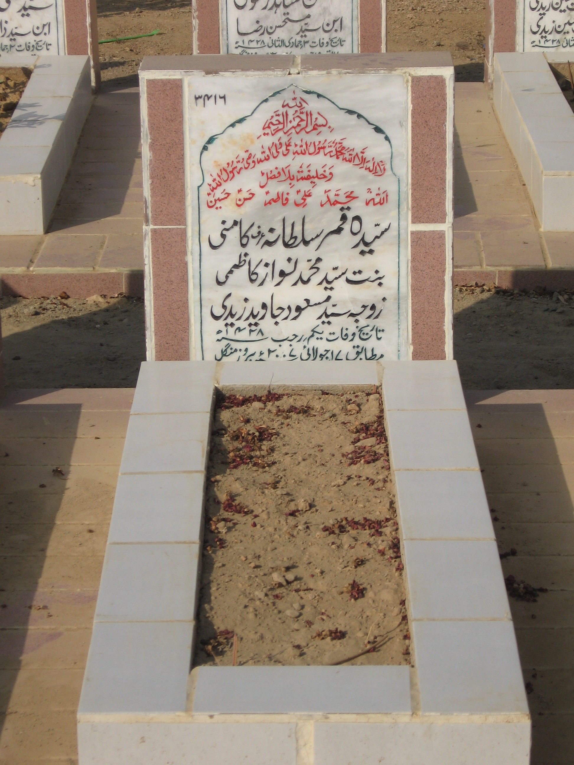 3416 – Syeda Qamar Sultana