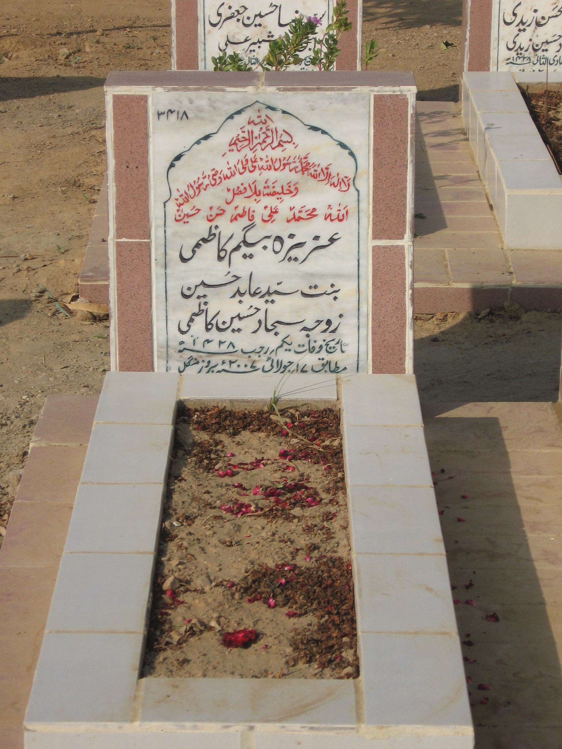 3418 – Aziza Beghum Kazmi