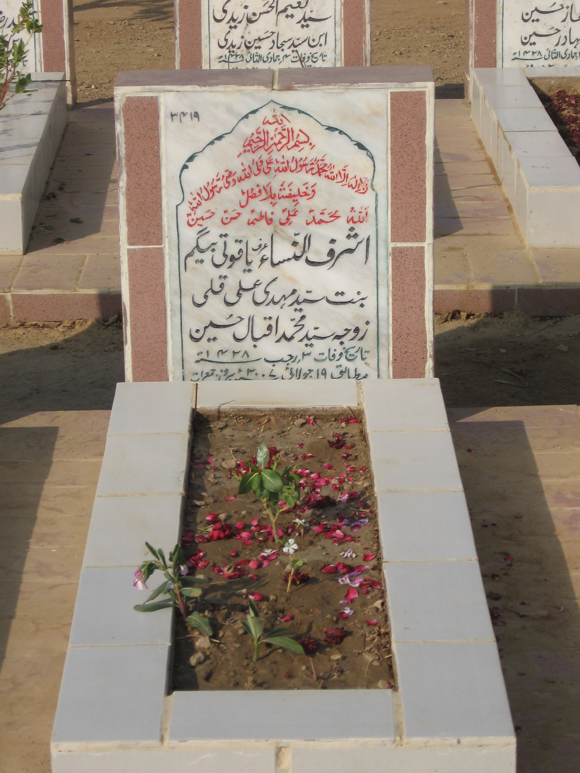 3419 – Ashraf ul Nisa