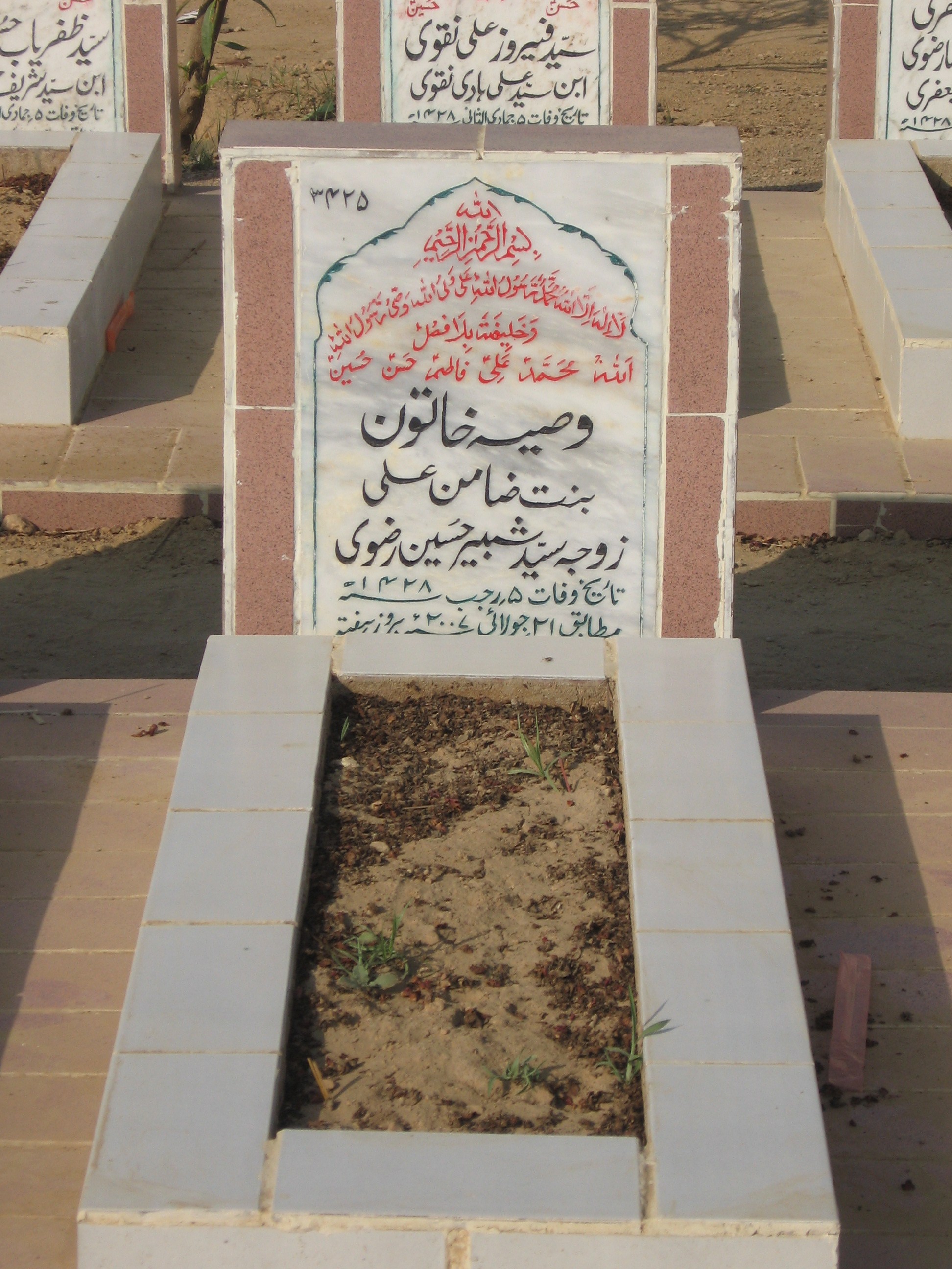 3425 – Wasia Khatoon