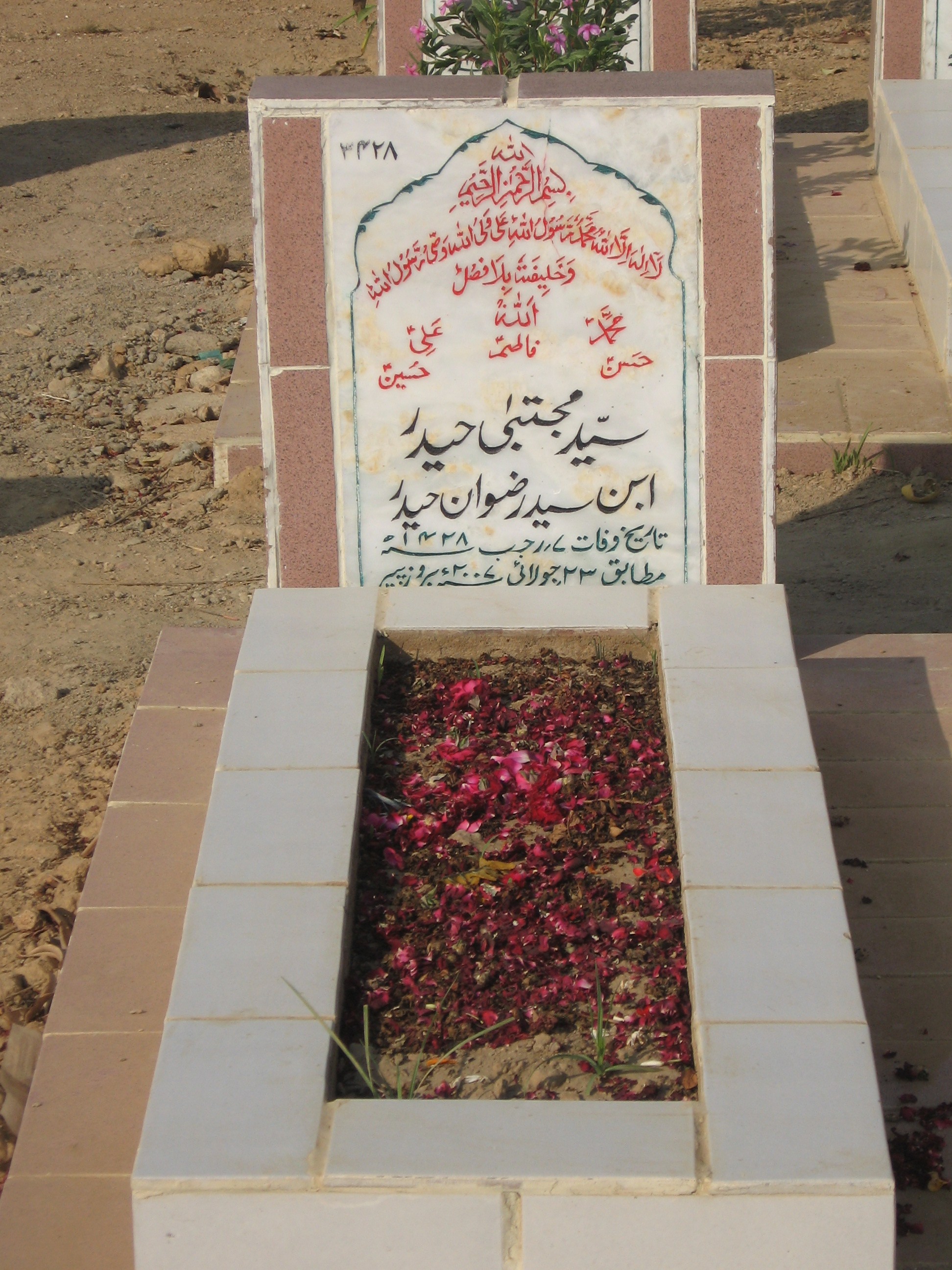 3428 – Syed Mujhtaba Haider