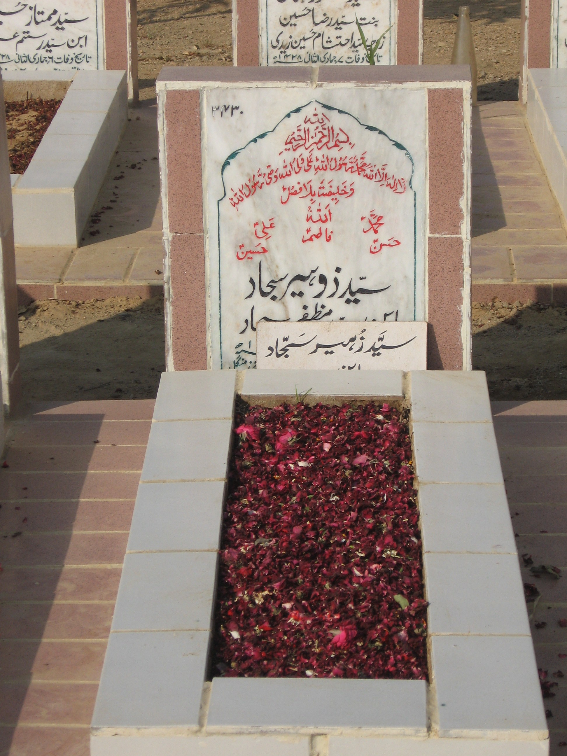 3430 – Syed Zohair Sajjad