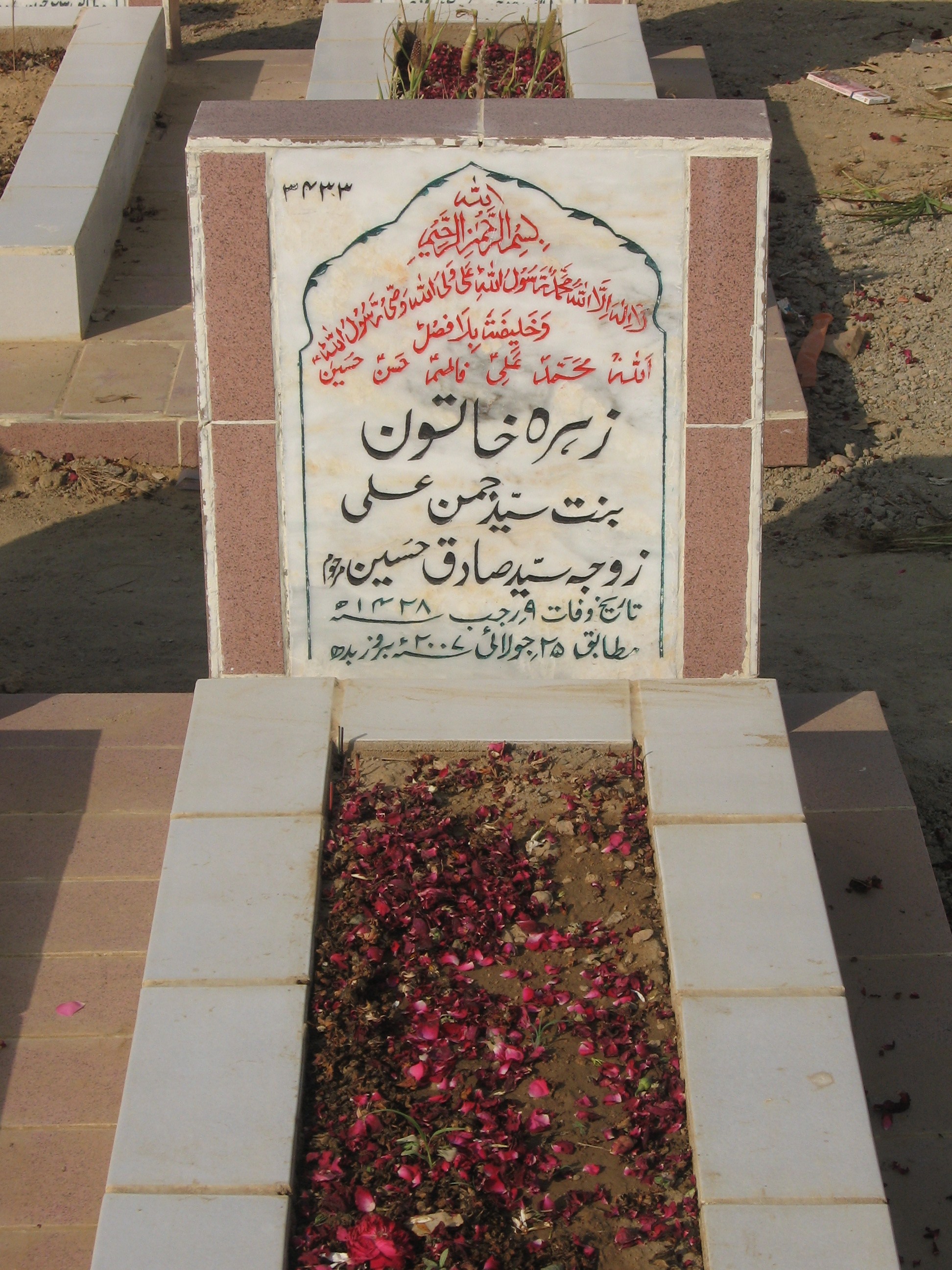 3433 – Zehra Khatoon