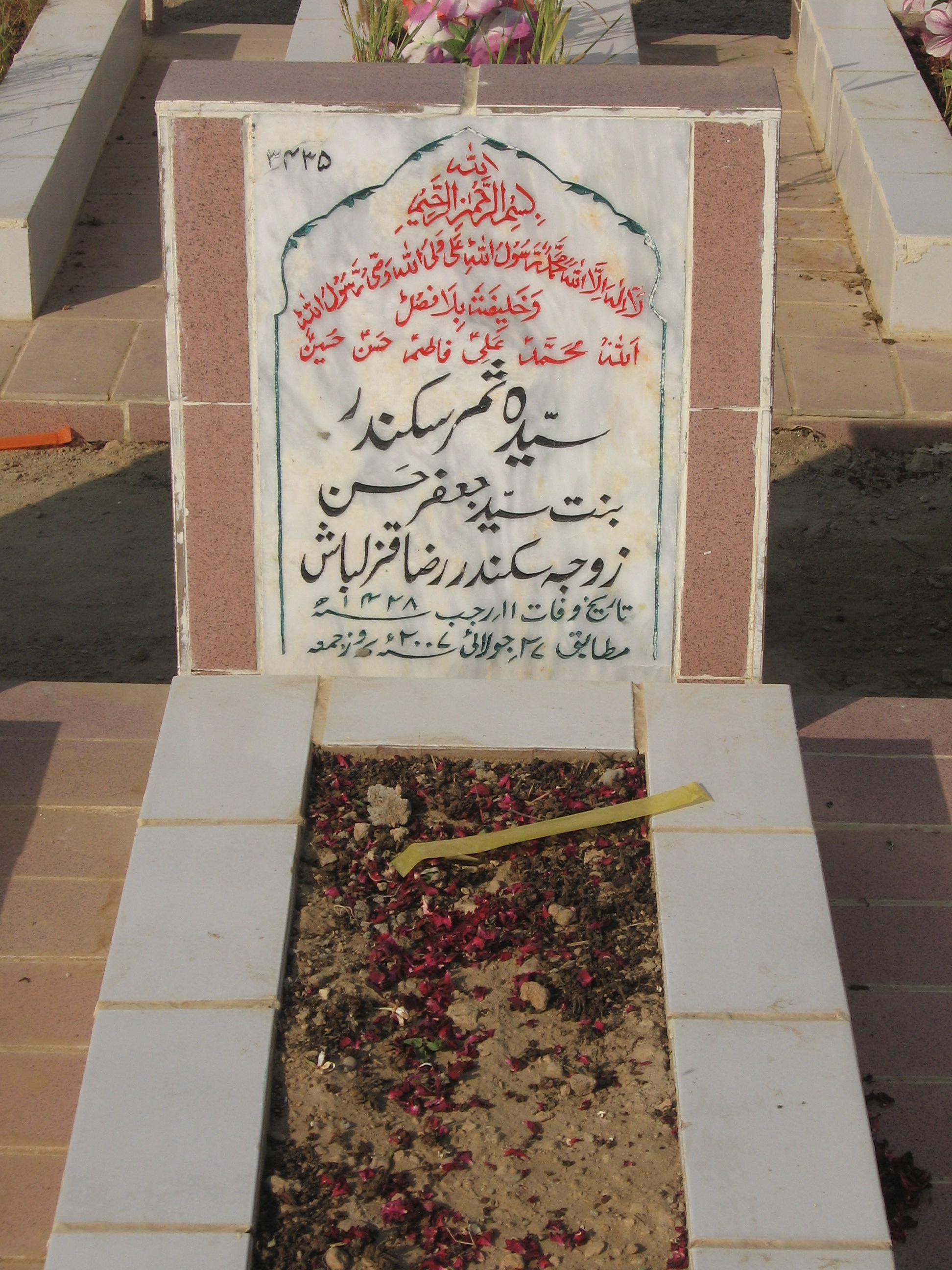 3435 – Syeda Samar Sikandar