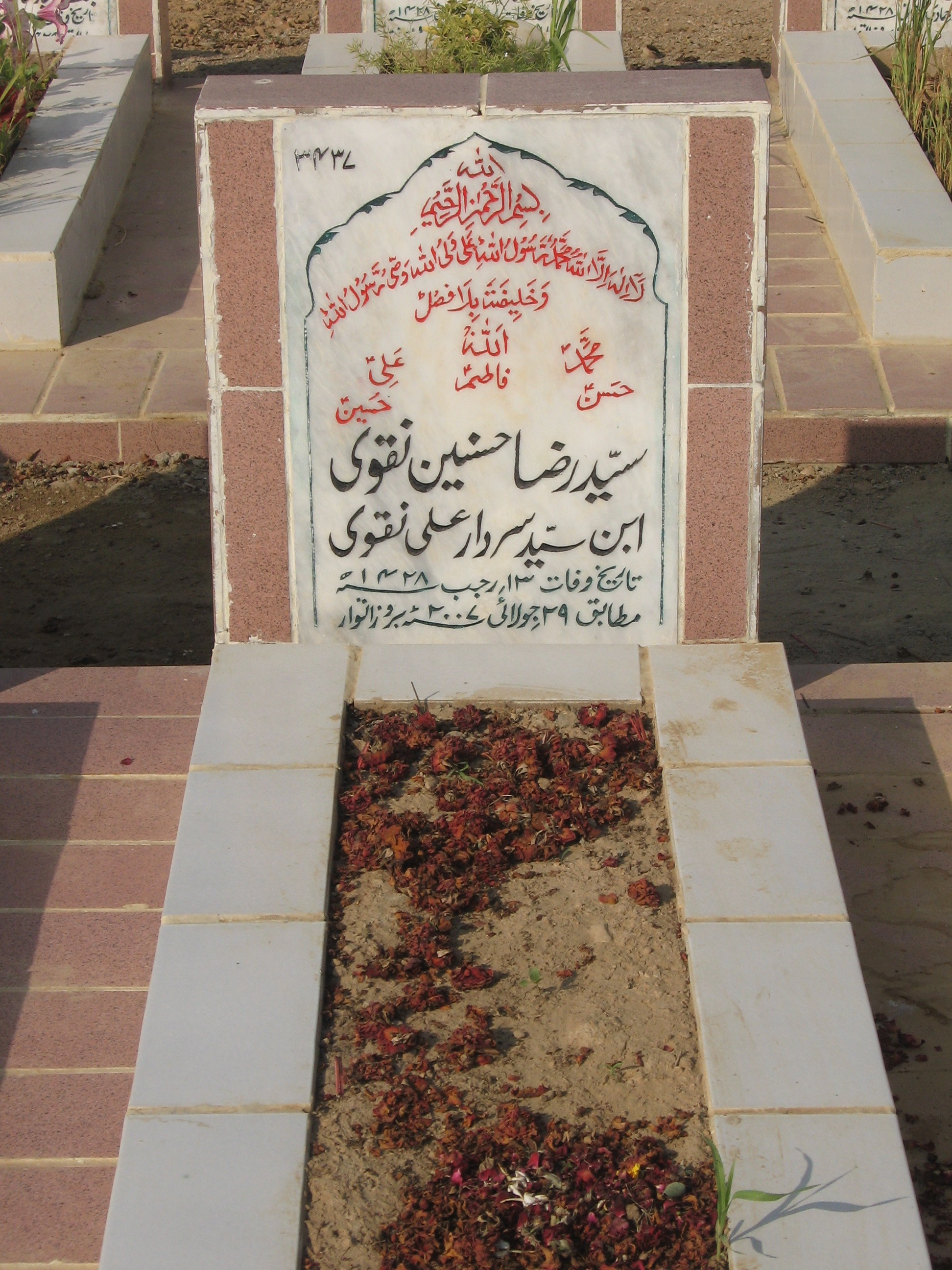 3437 – Syed Raza Hasnain Naqvi